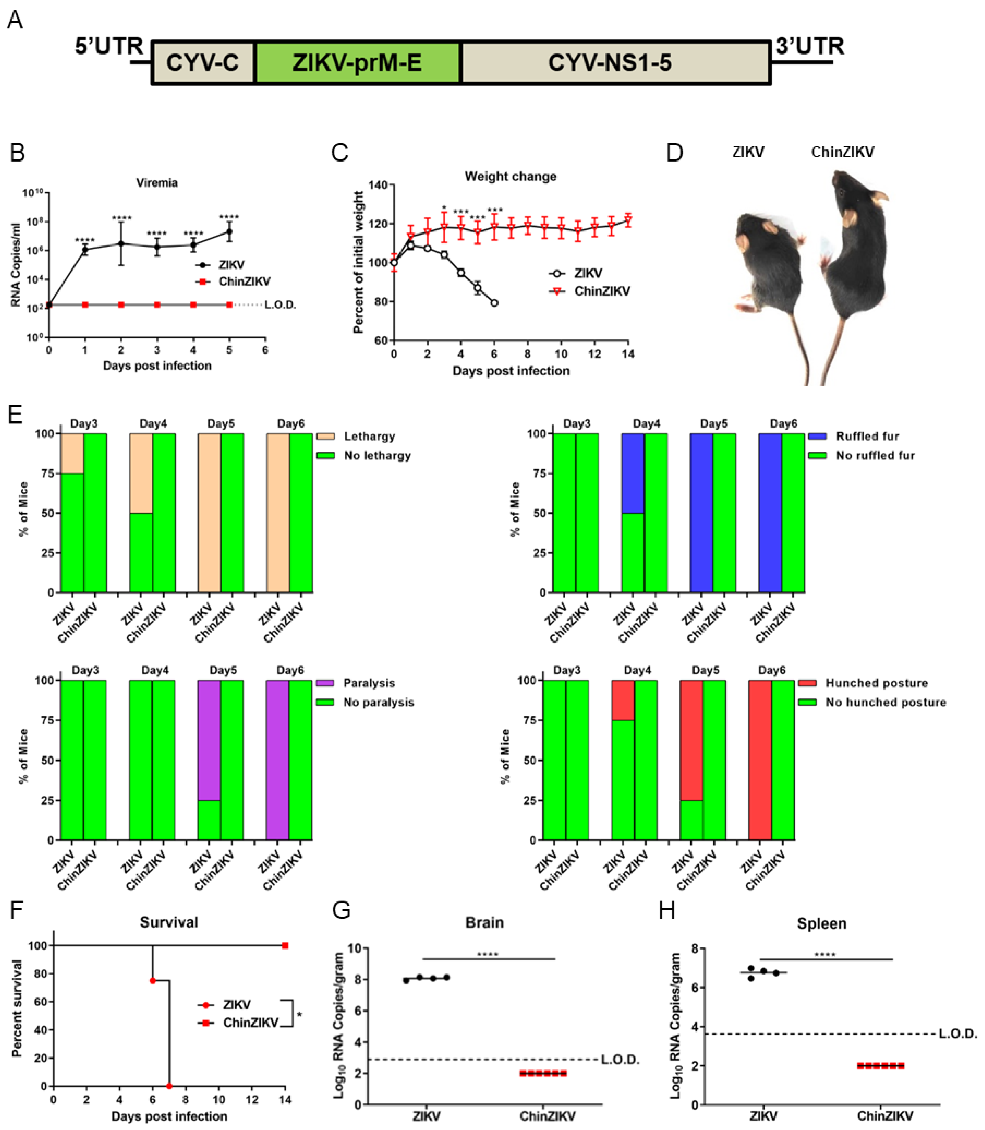 Vaccines 12 00215 g001