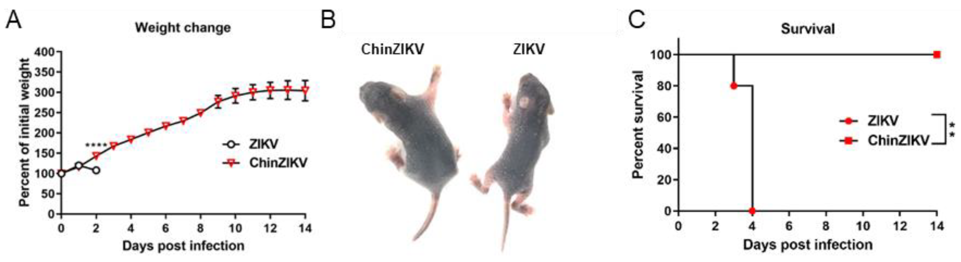 Vaccines 12 00215 g002