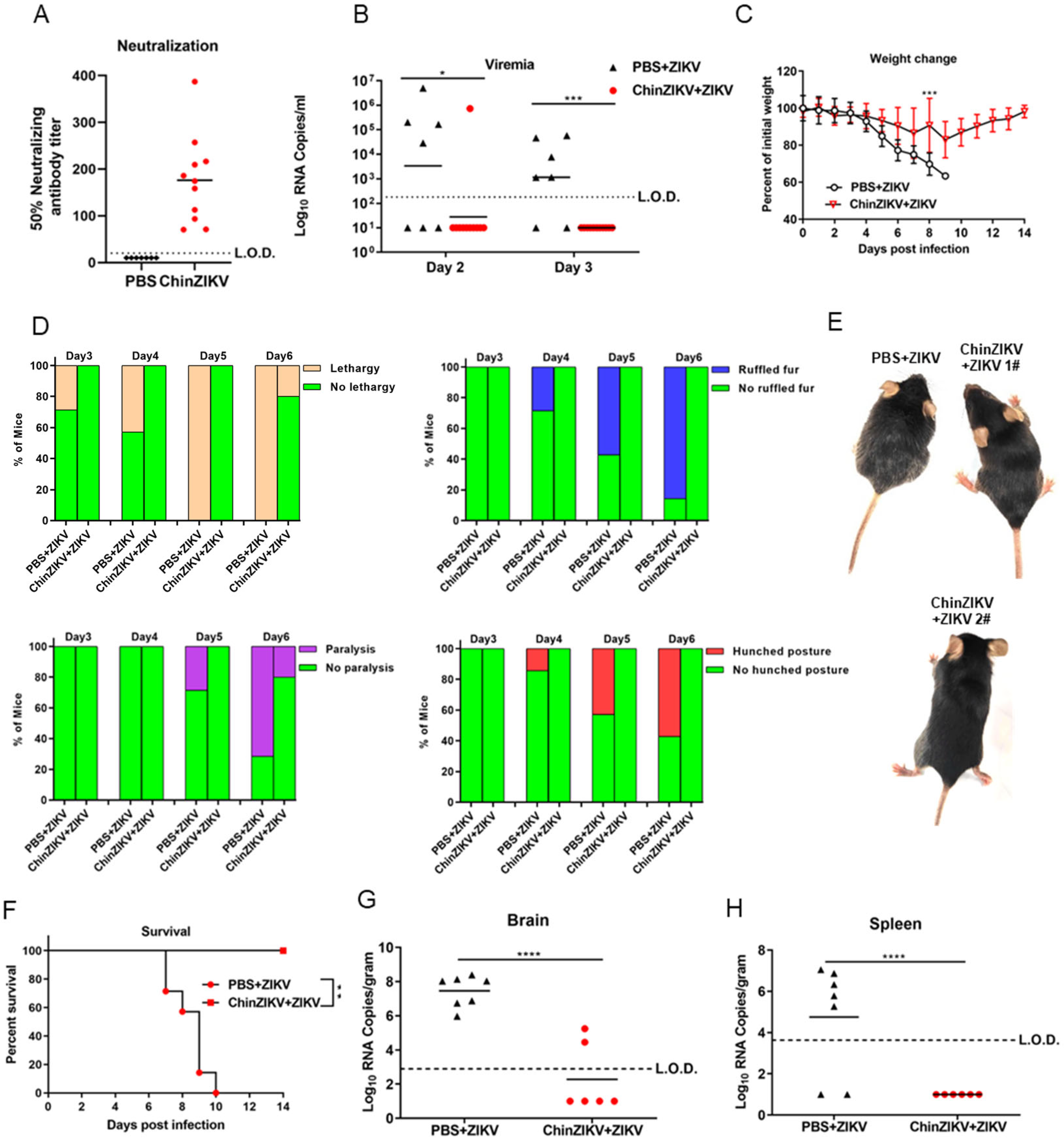 Vaccines 12 00215 g003