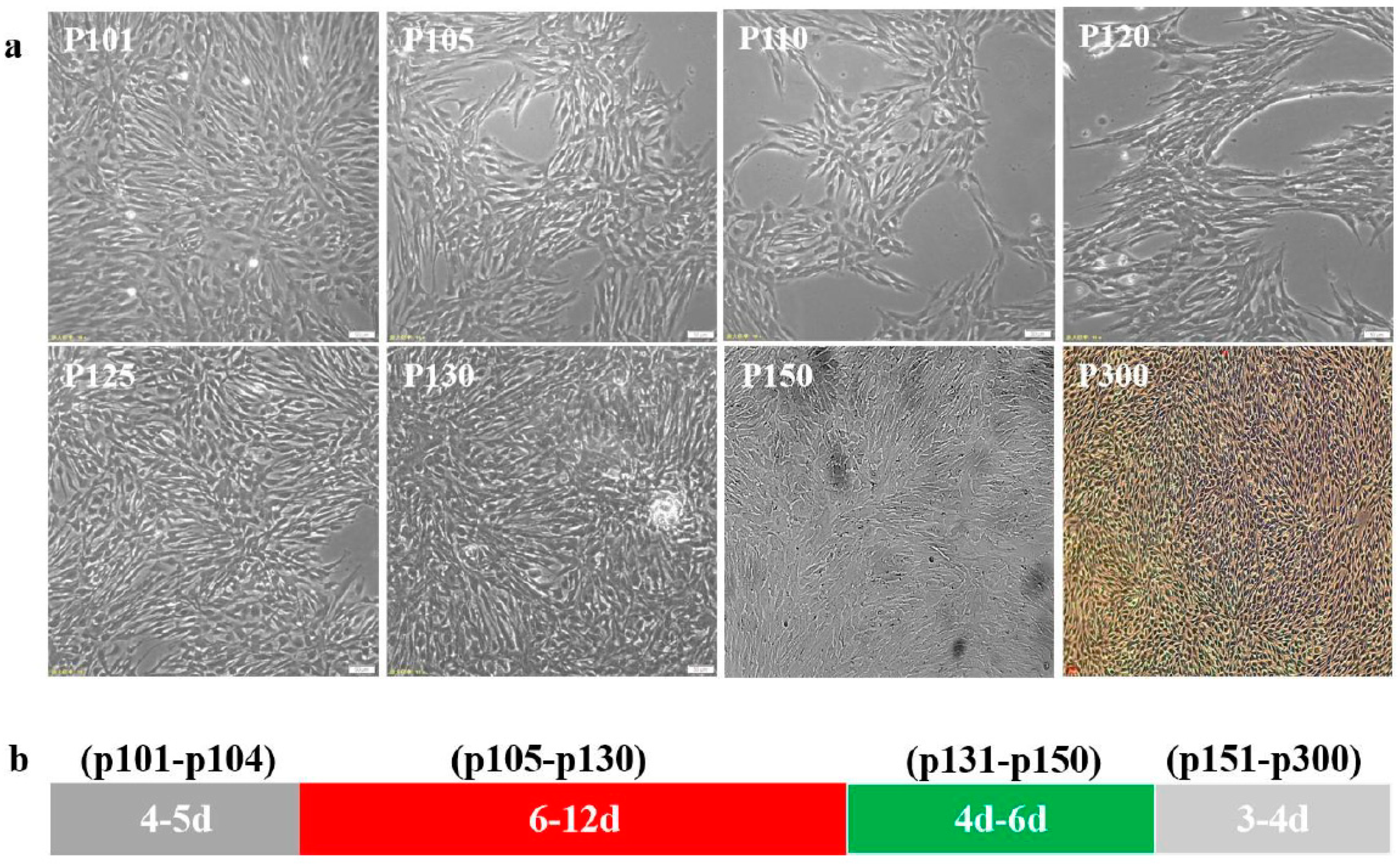 Vaccines 12 00220 g001