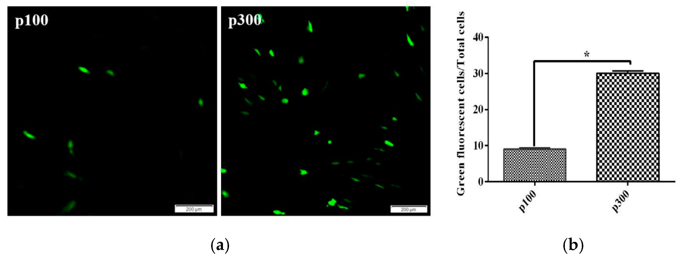 Vaccines 12 00220 g004