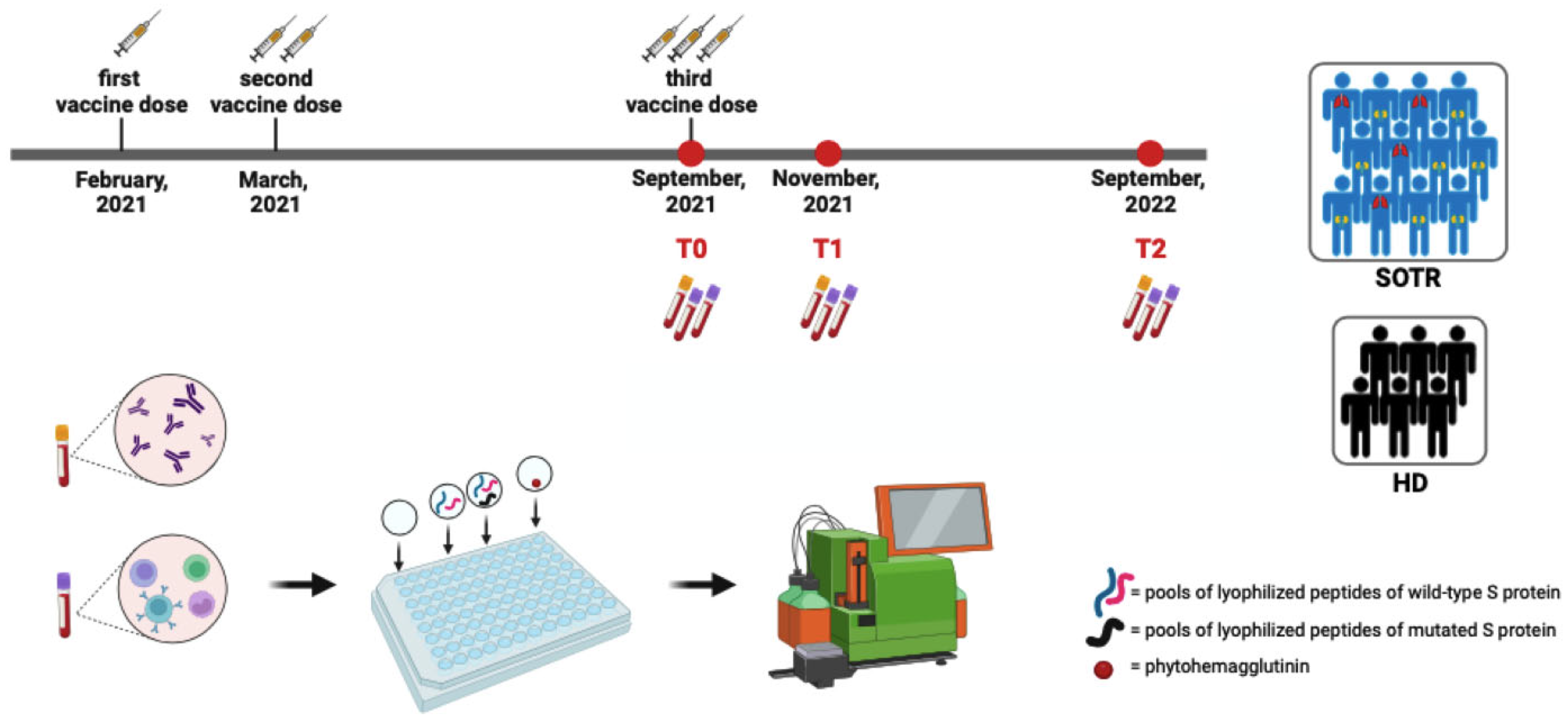 Vaccines 12 00224 g001