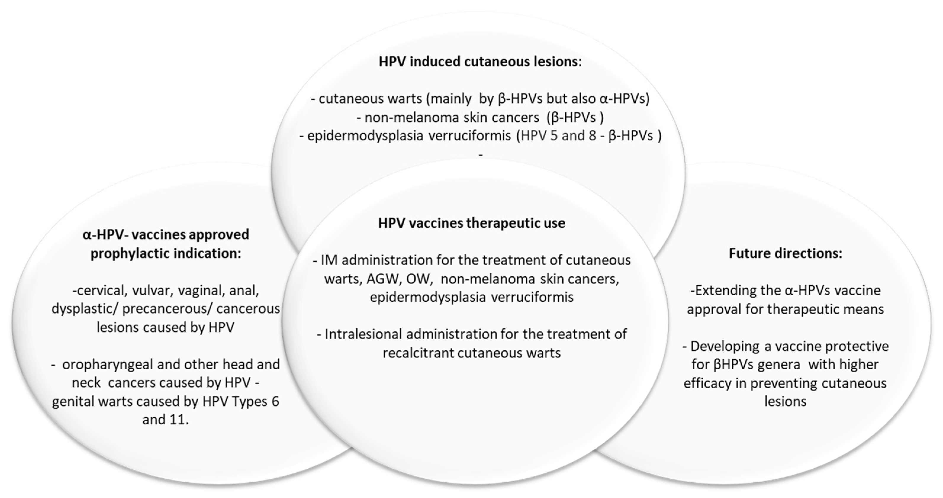 Vaccines 12 00228 g001