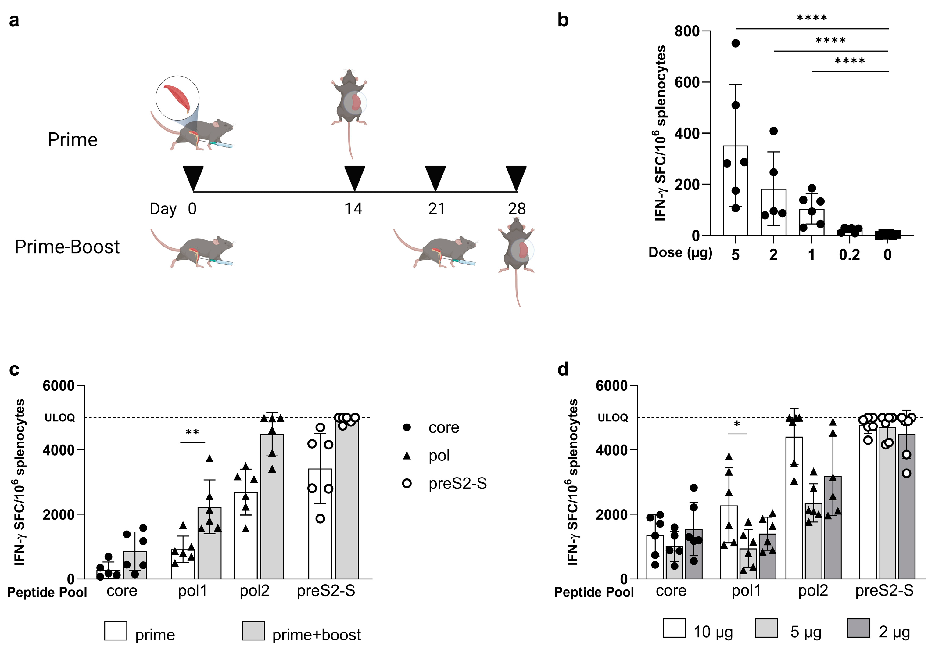 Vaccines 12 00237 g002