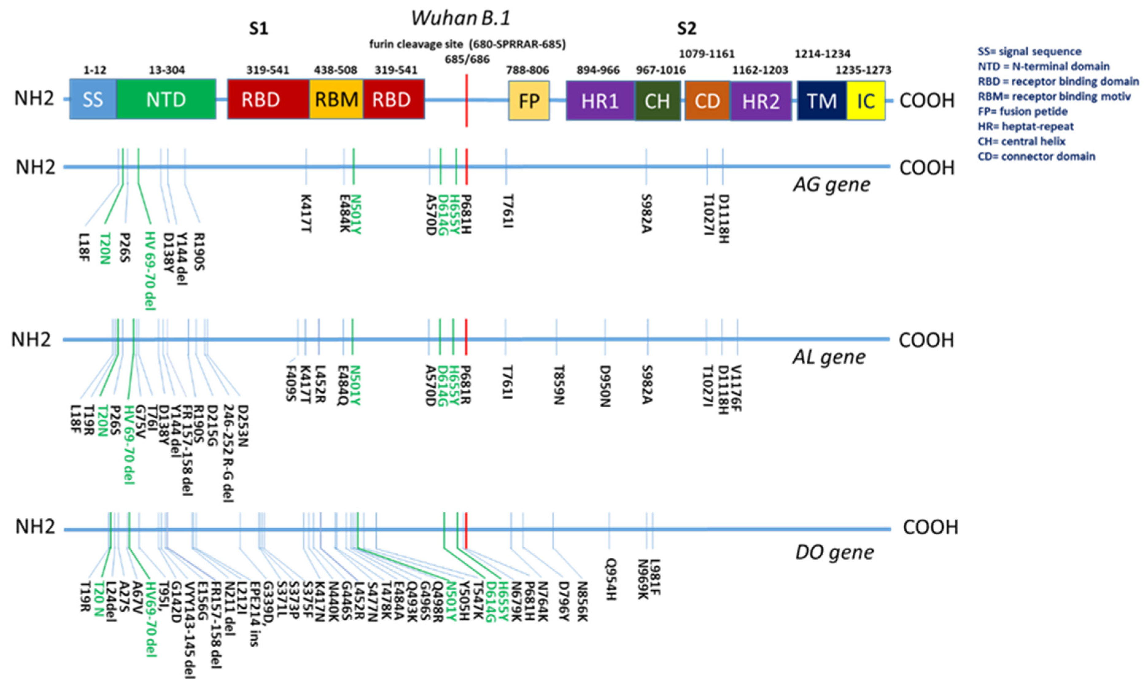Vaccines 12 00248 g002