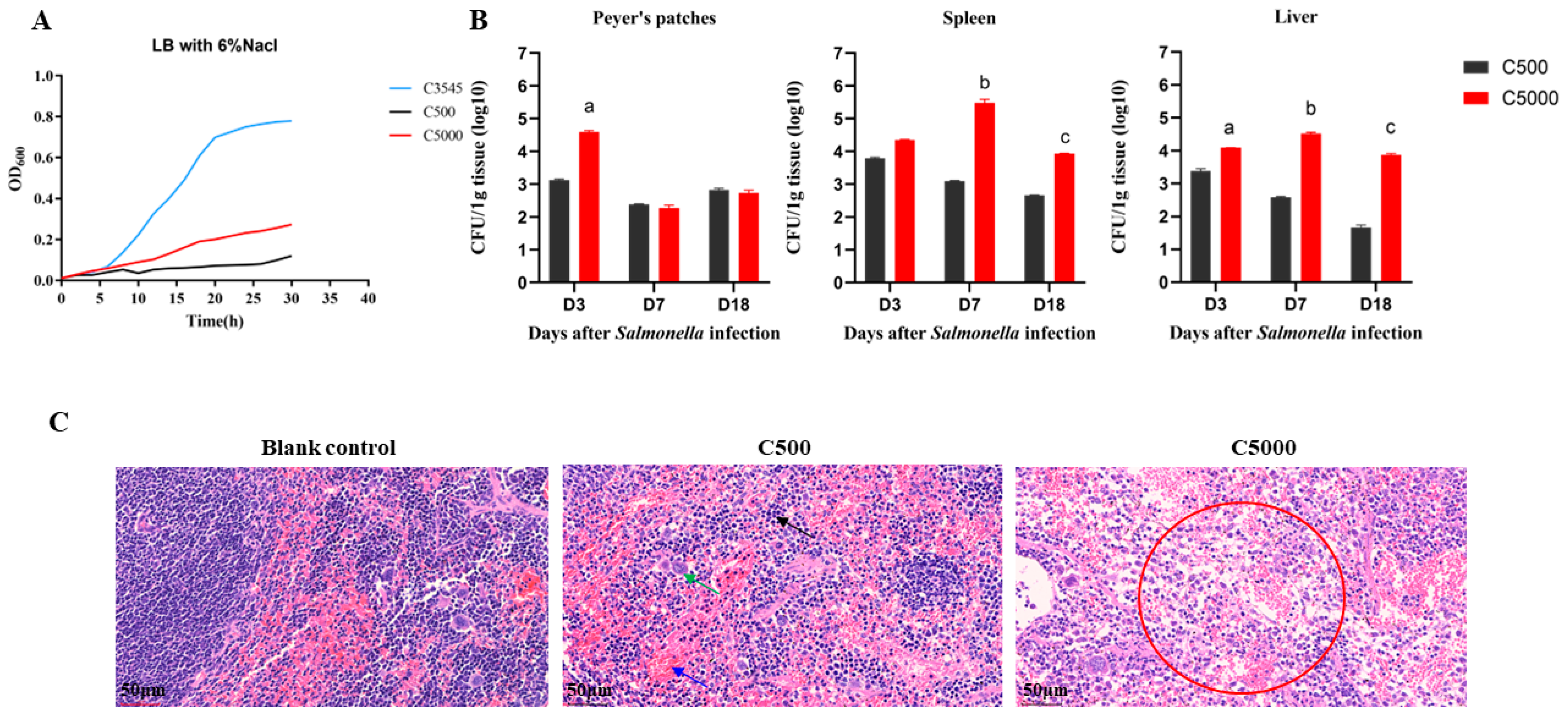 Vaccines 12 00249 g002