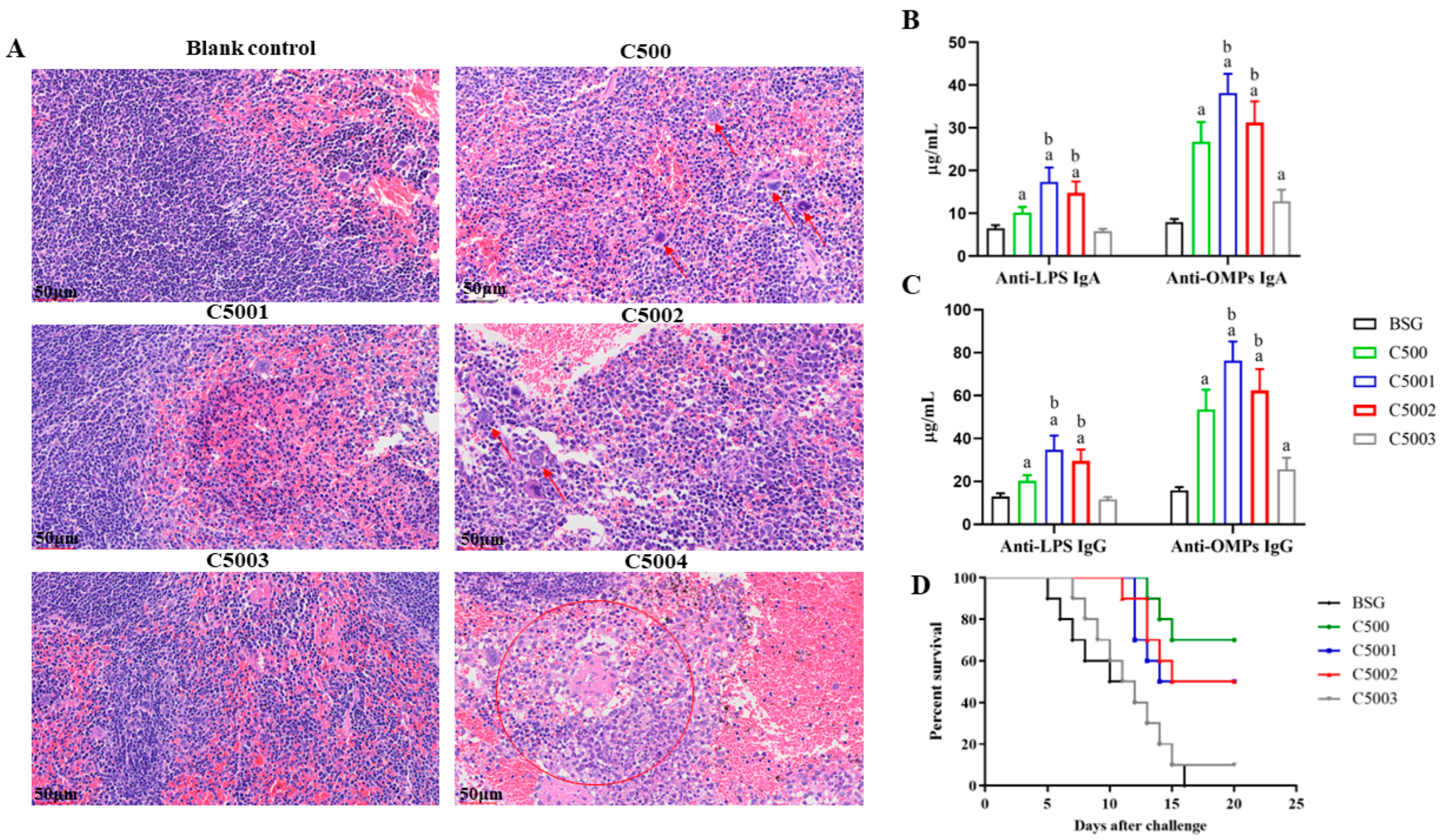 Vaccines 12 00249 g004
