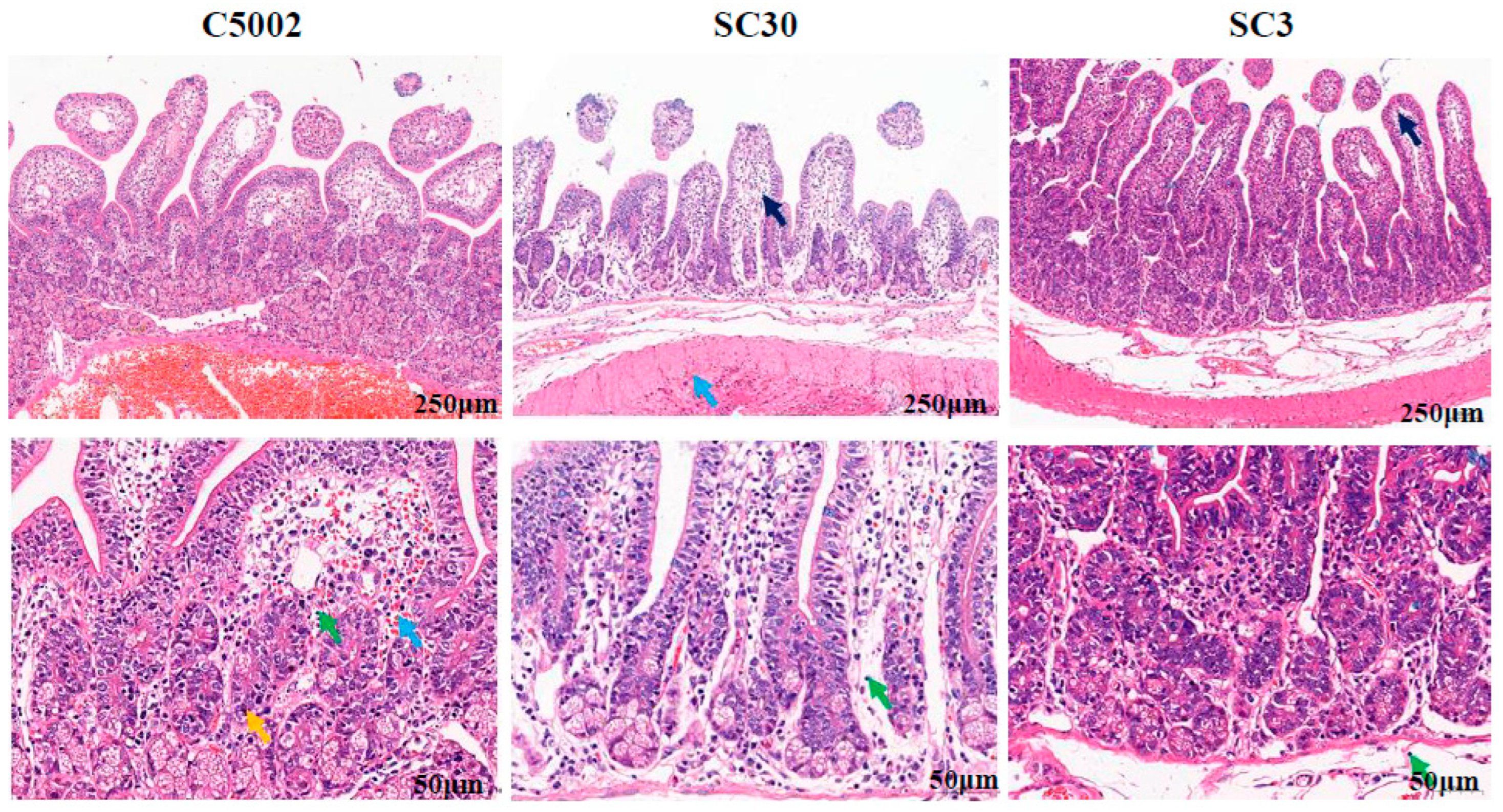 Vaccines 12 00249 g005