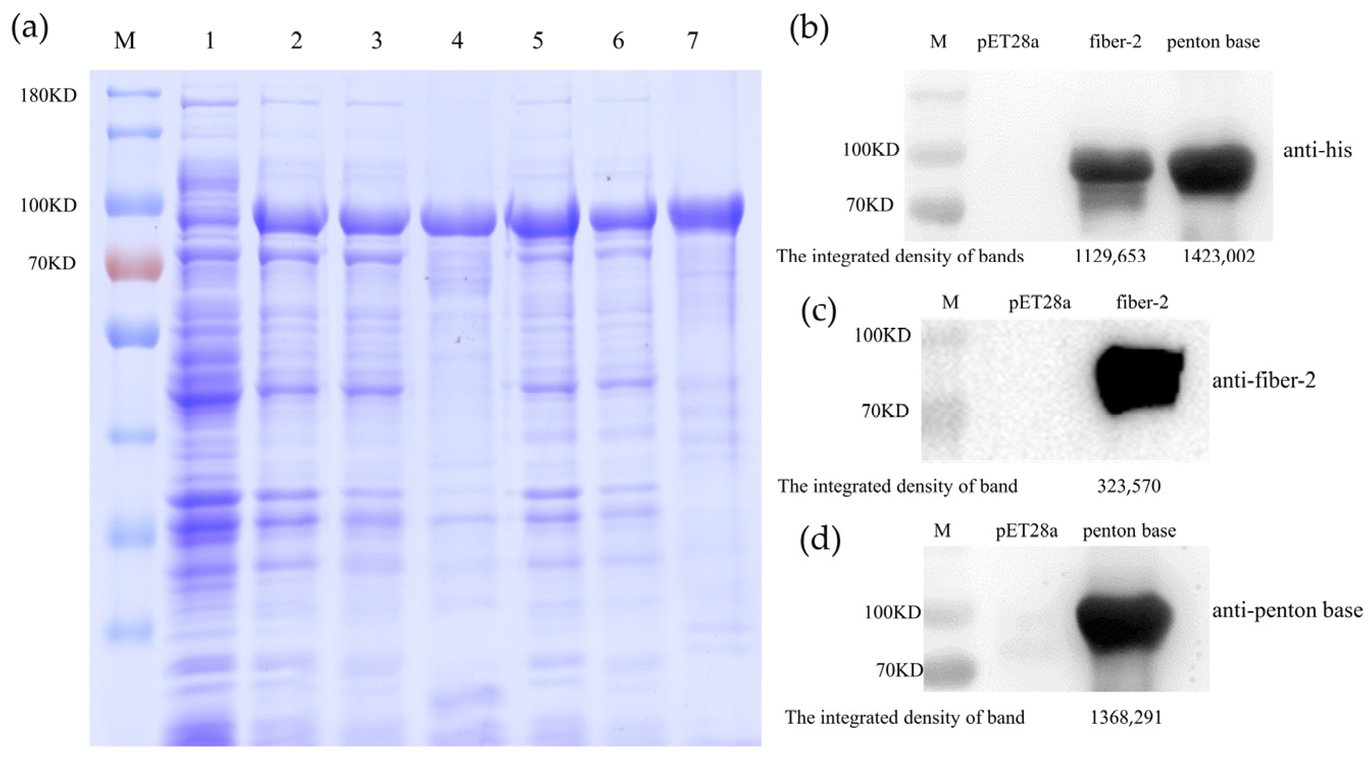 Vaccines 12 00263 g001