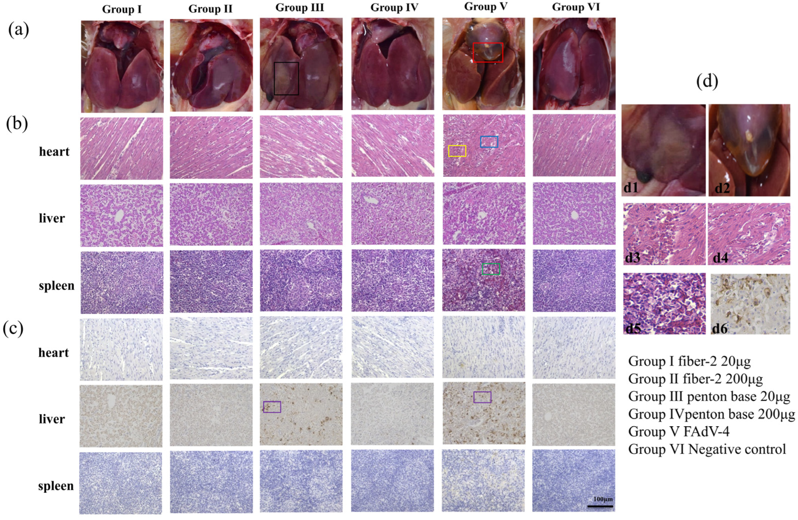 Vaccines 12 00263 g004