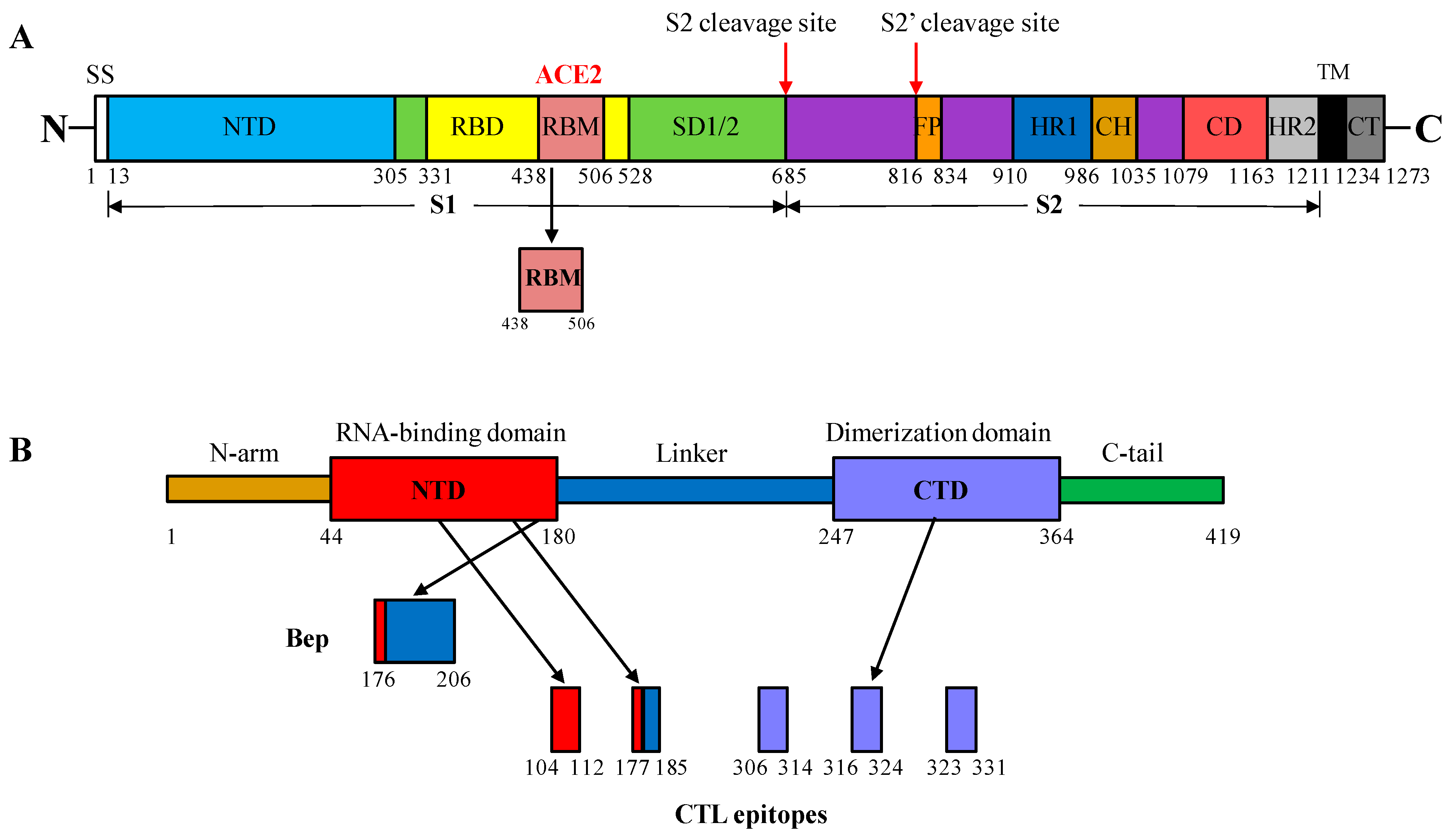 Vaccines 12 00267 g001 Vaccines 12 00267 g001