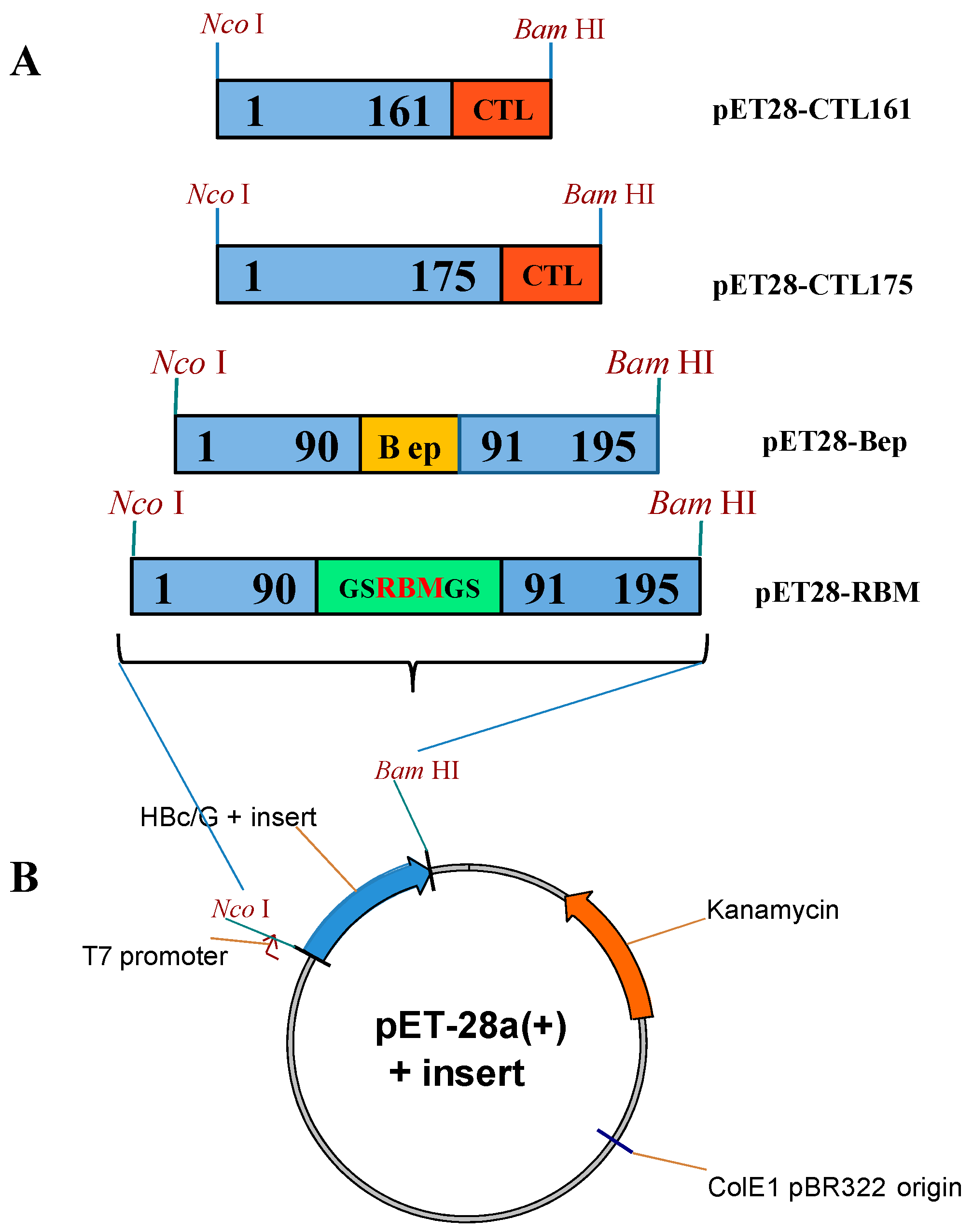 Vaccines 12 00267 g002 Vaccines 12 00267 g002