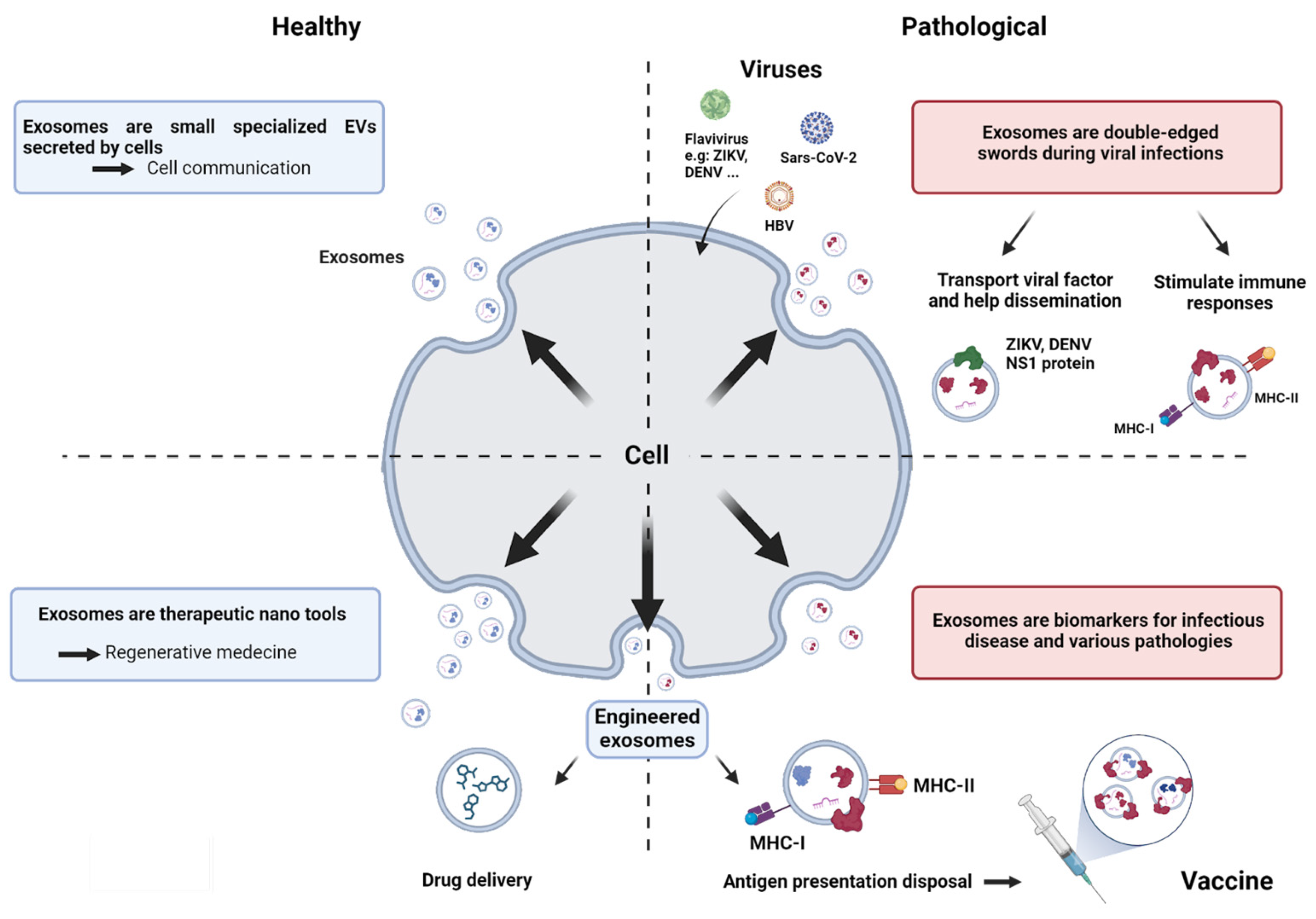 Vaccines 12 00280 g001 Vaccines 12 00280 g001