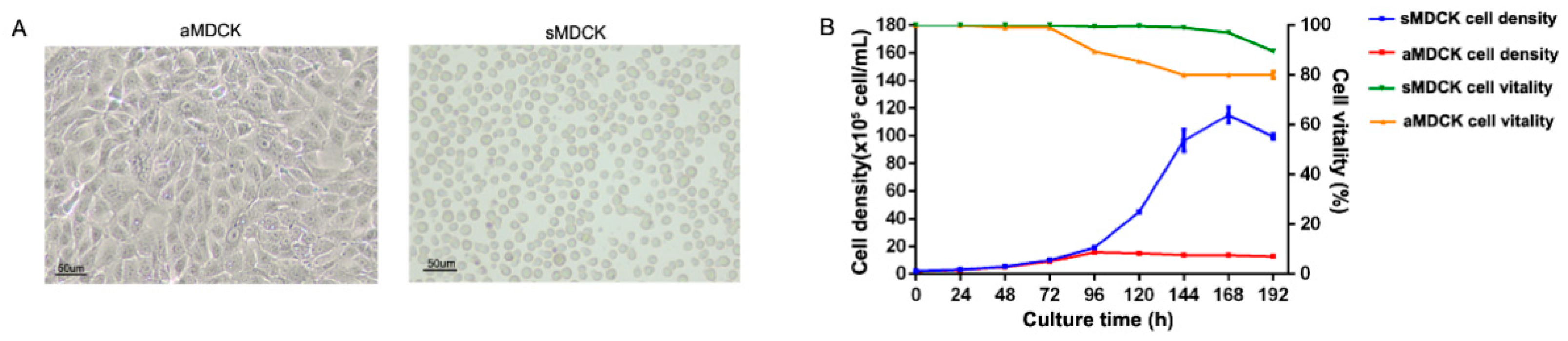 Vaccines 12 00287 g001
