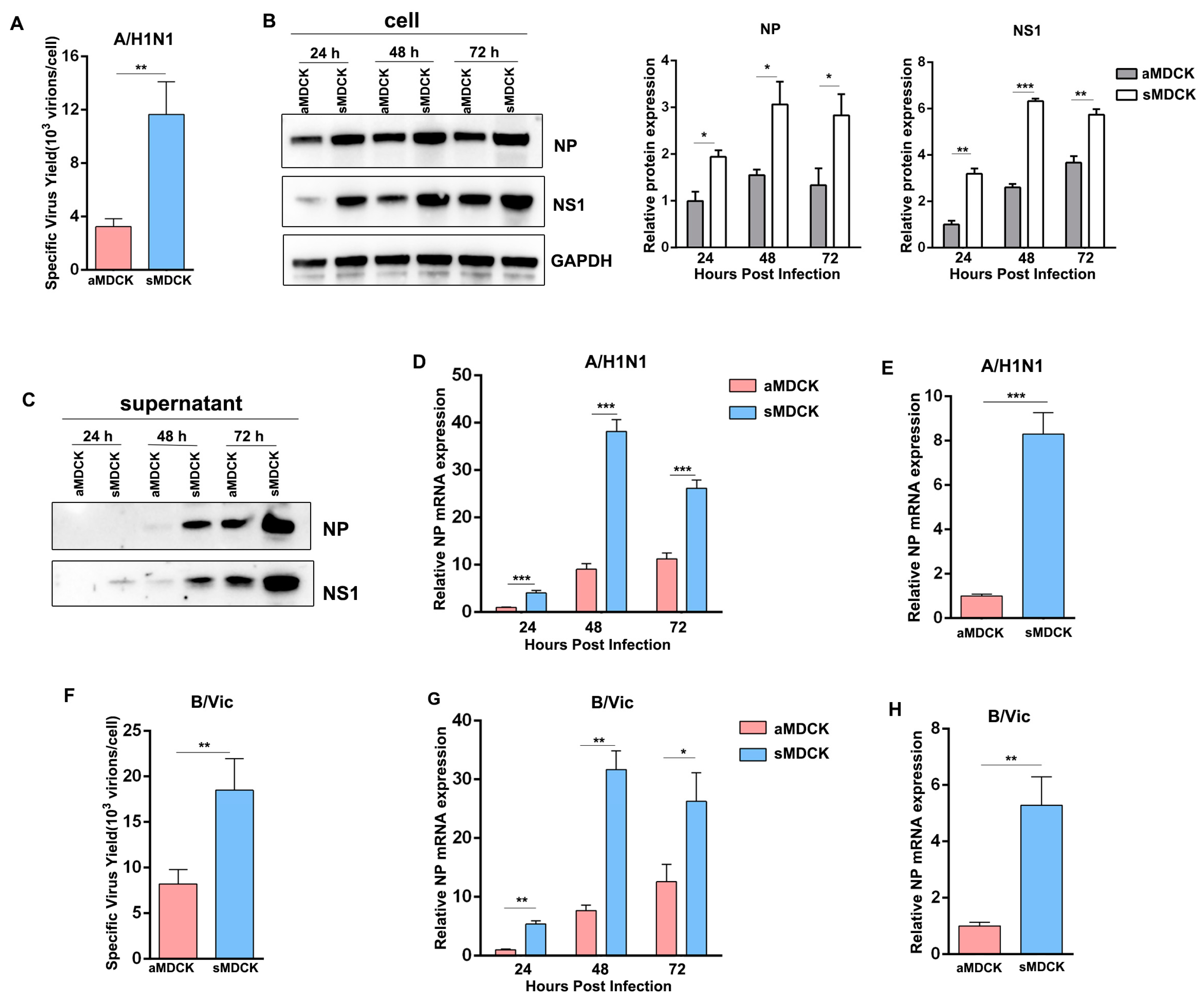 Vaccines 12 00287 g004