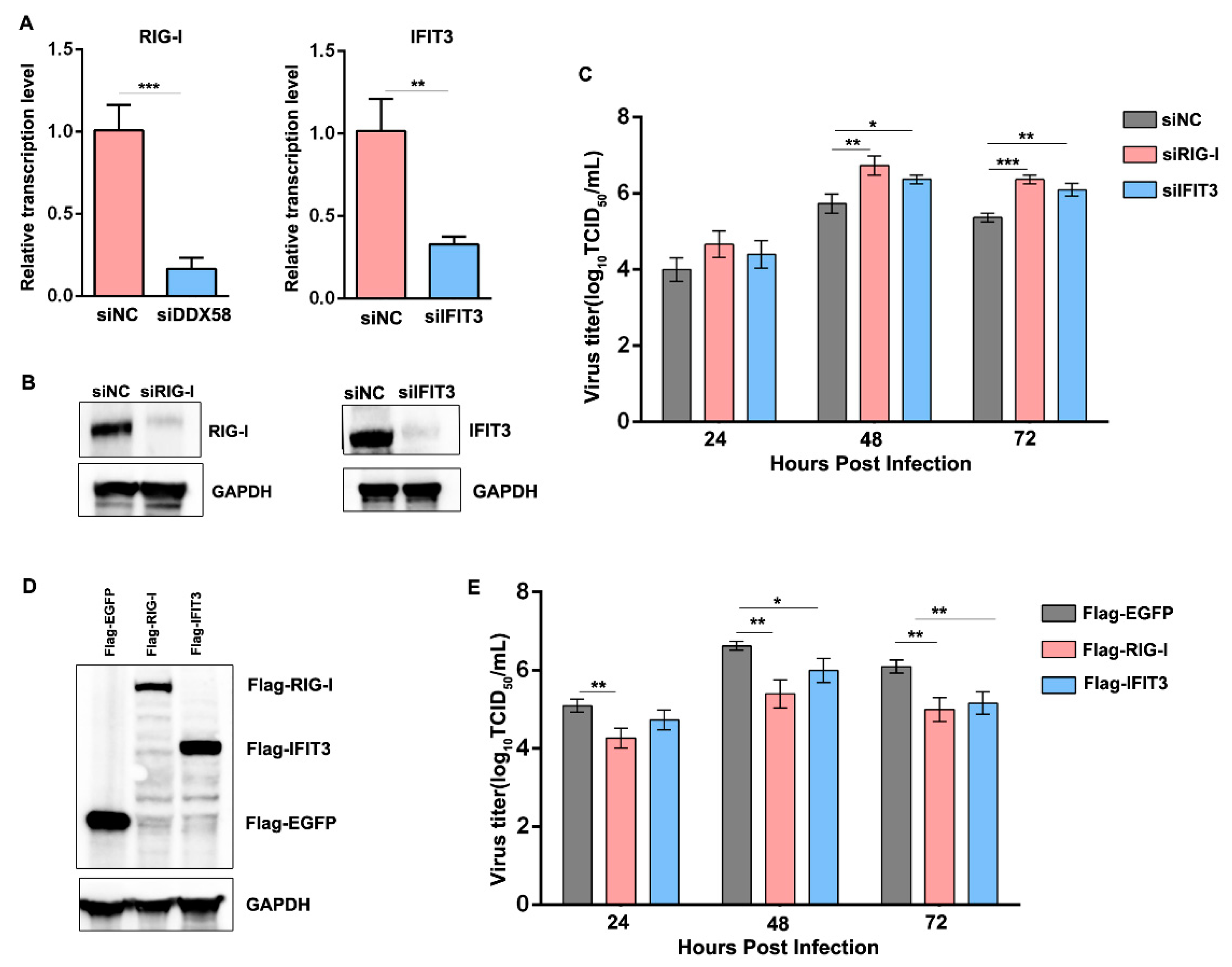 Vaccines 12 00287 g007