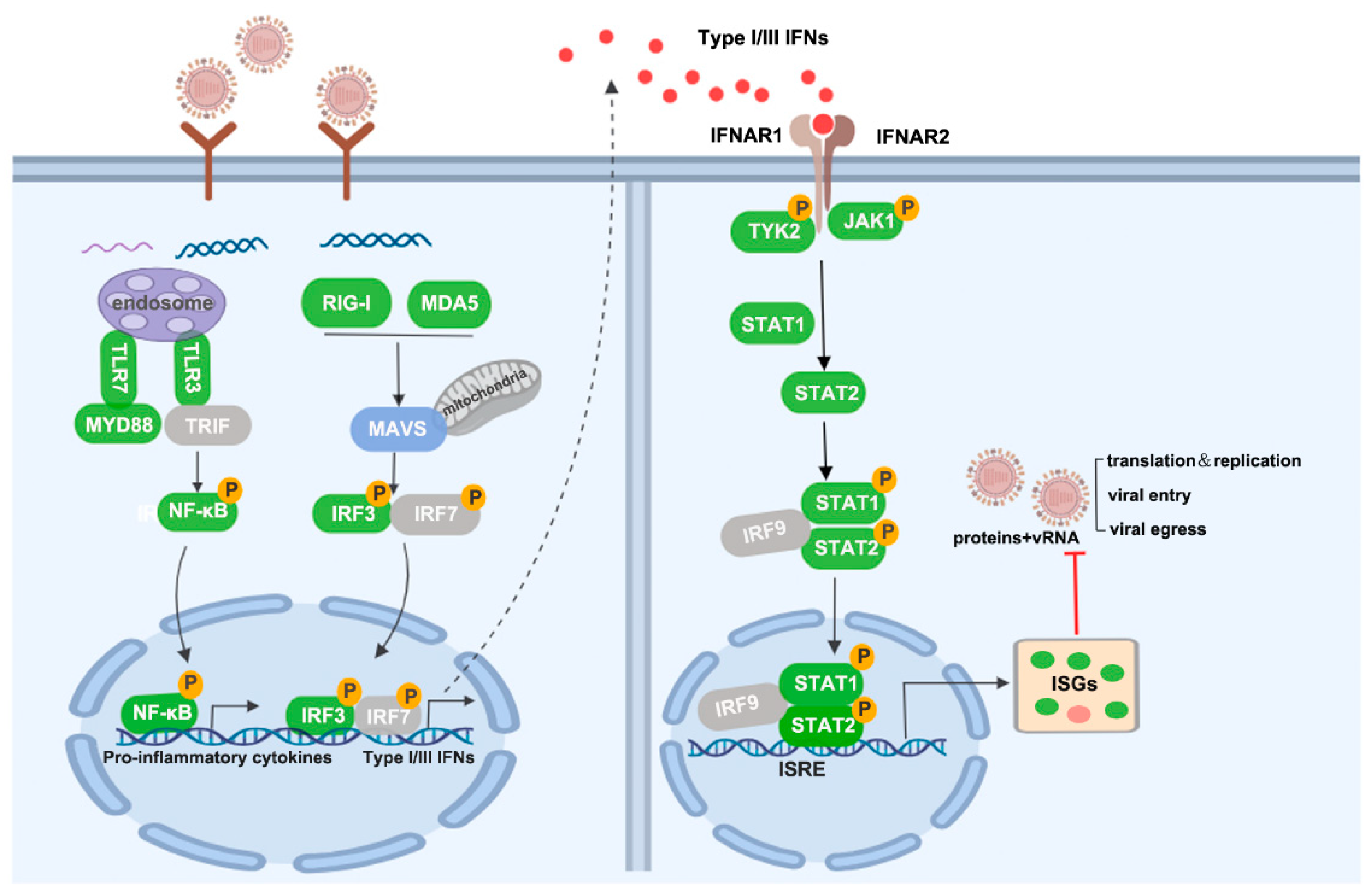 Vaccines 12 00287 g009
