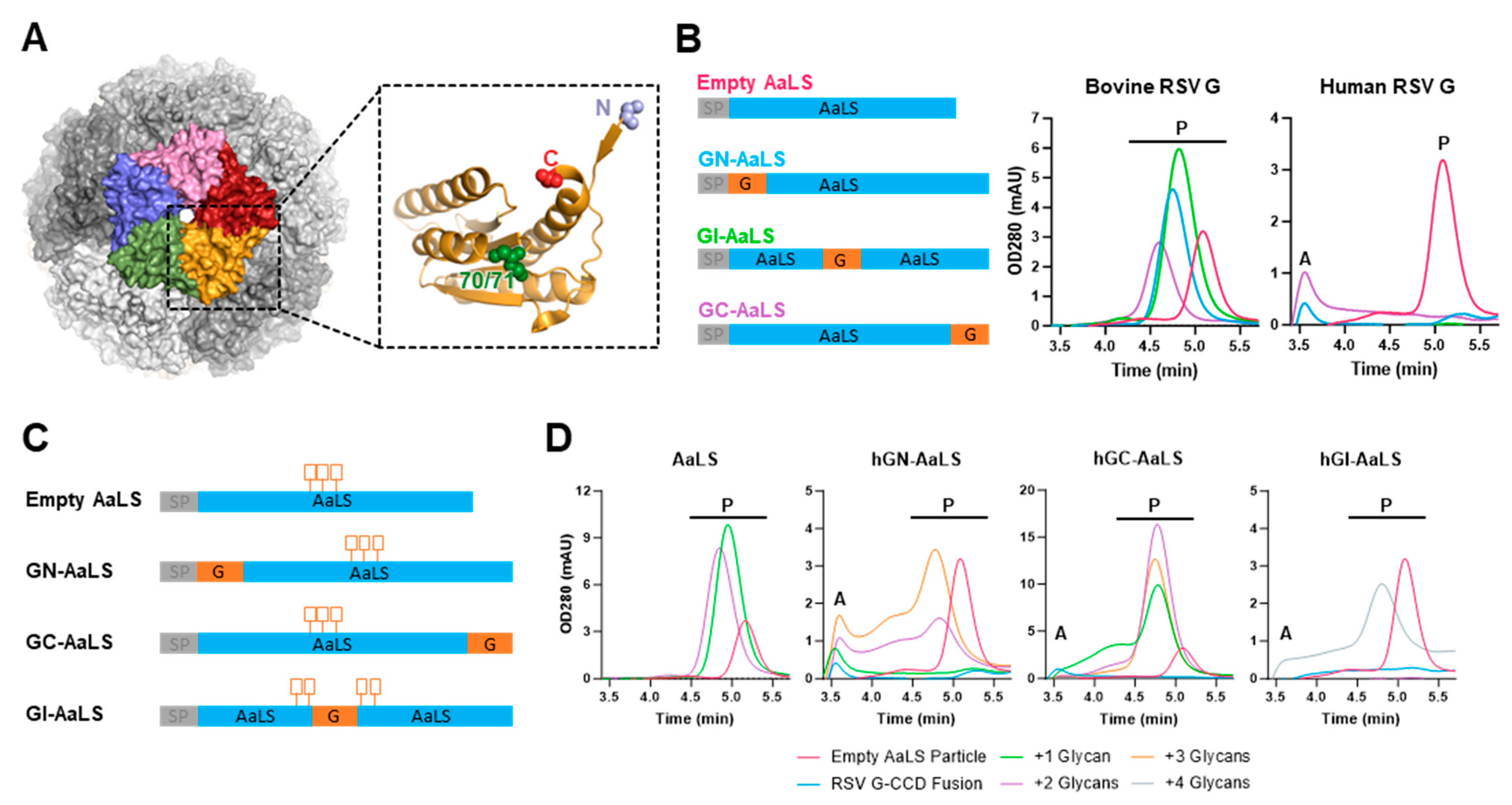 Vaccines 12 00294 g002