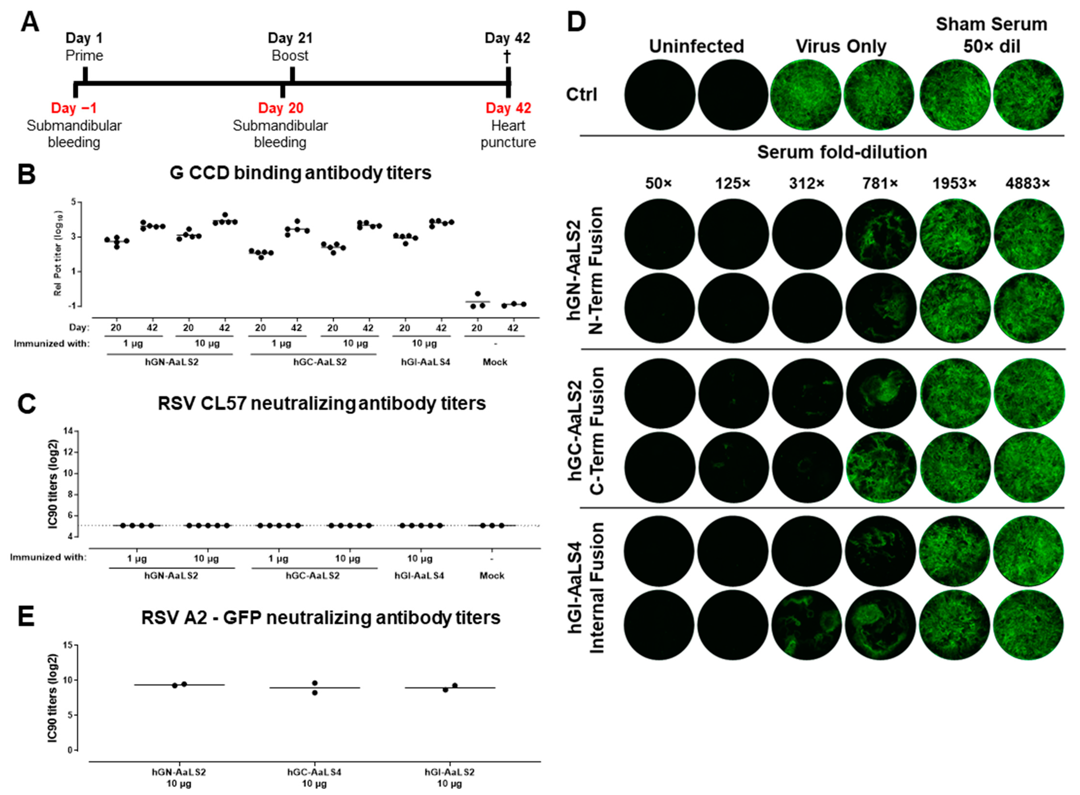 Vaccines 12 00294 g004