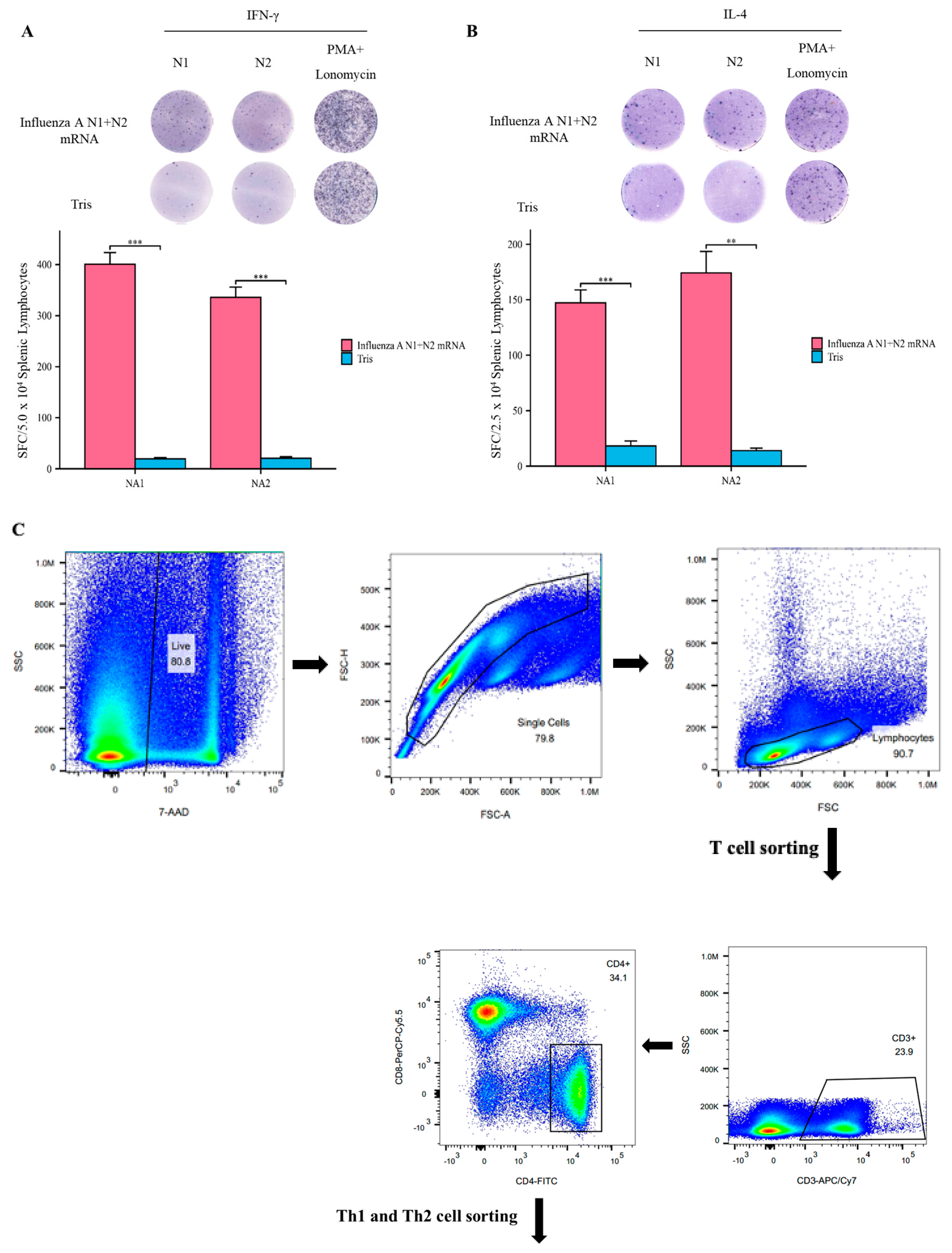 Vaccines 12 00300 g004a
