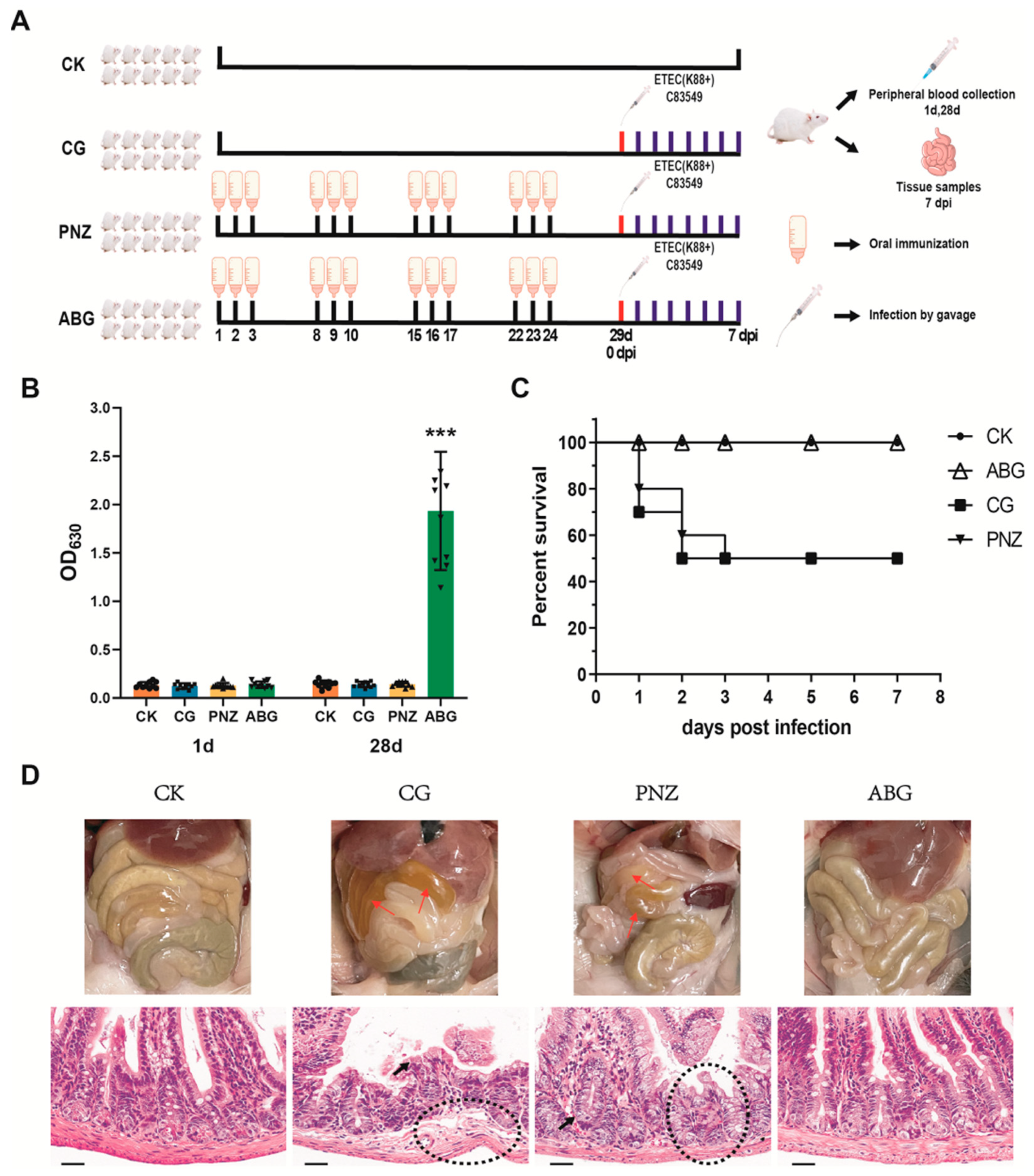 Vaccines 12 00304 g002 Vaccines 12 00304 g002