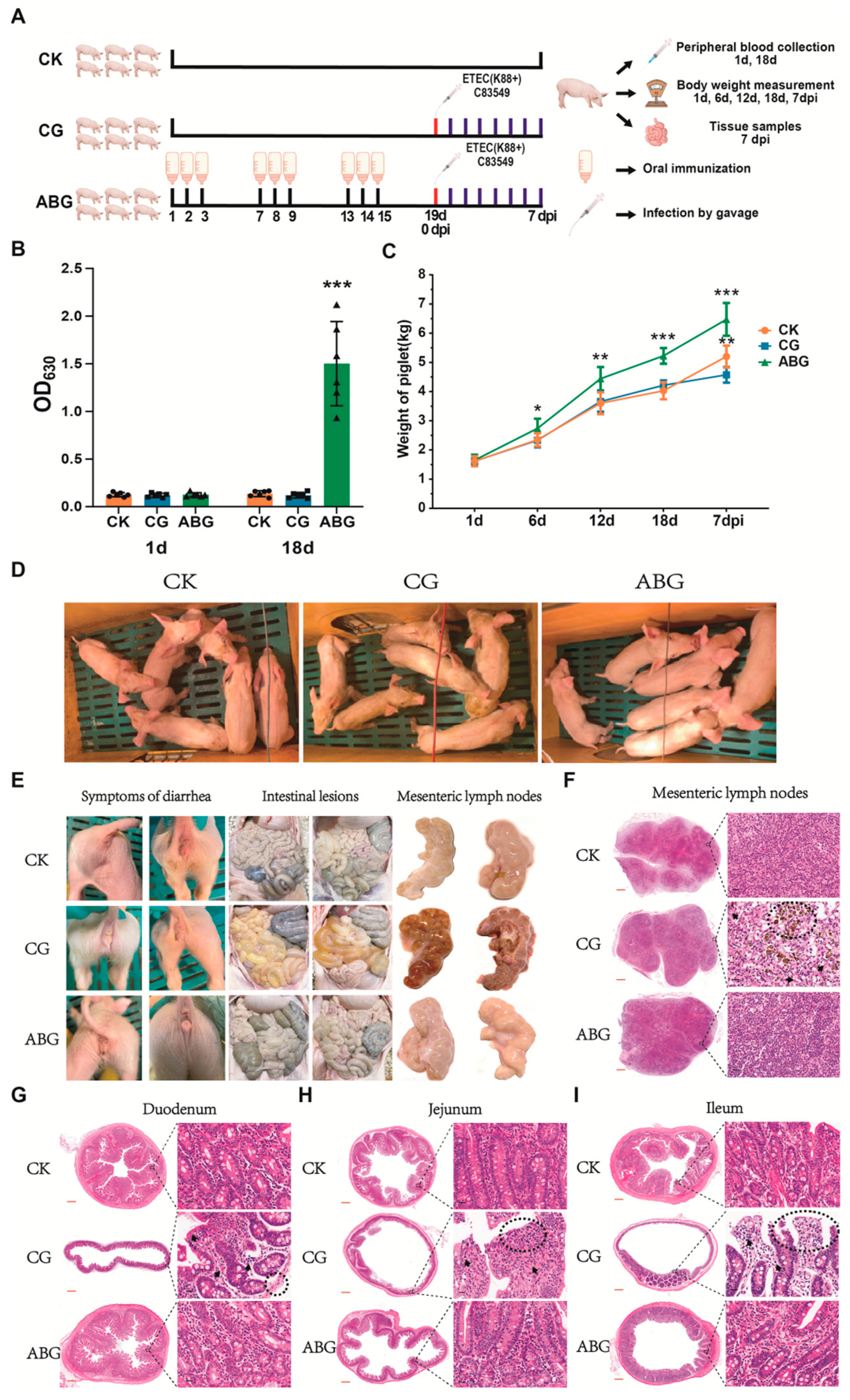 Vaccines 12 00304 g003 Vaccines 12 00304 g003