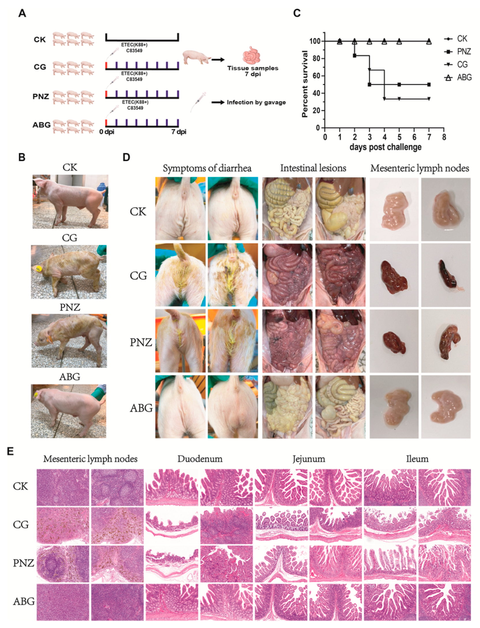 Vaccines 12 00304 g007 Vaccines 12 00304 g007
