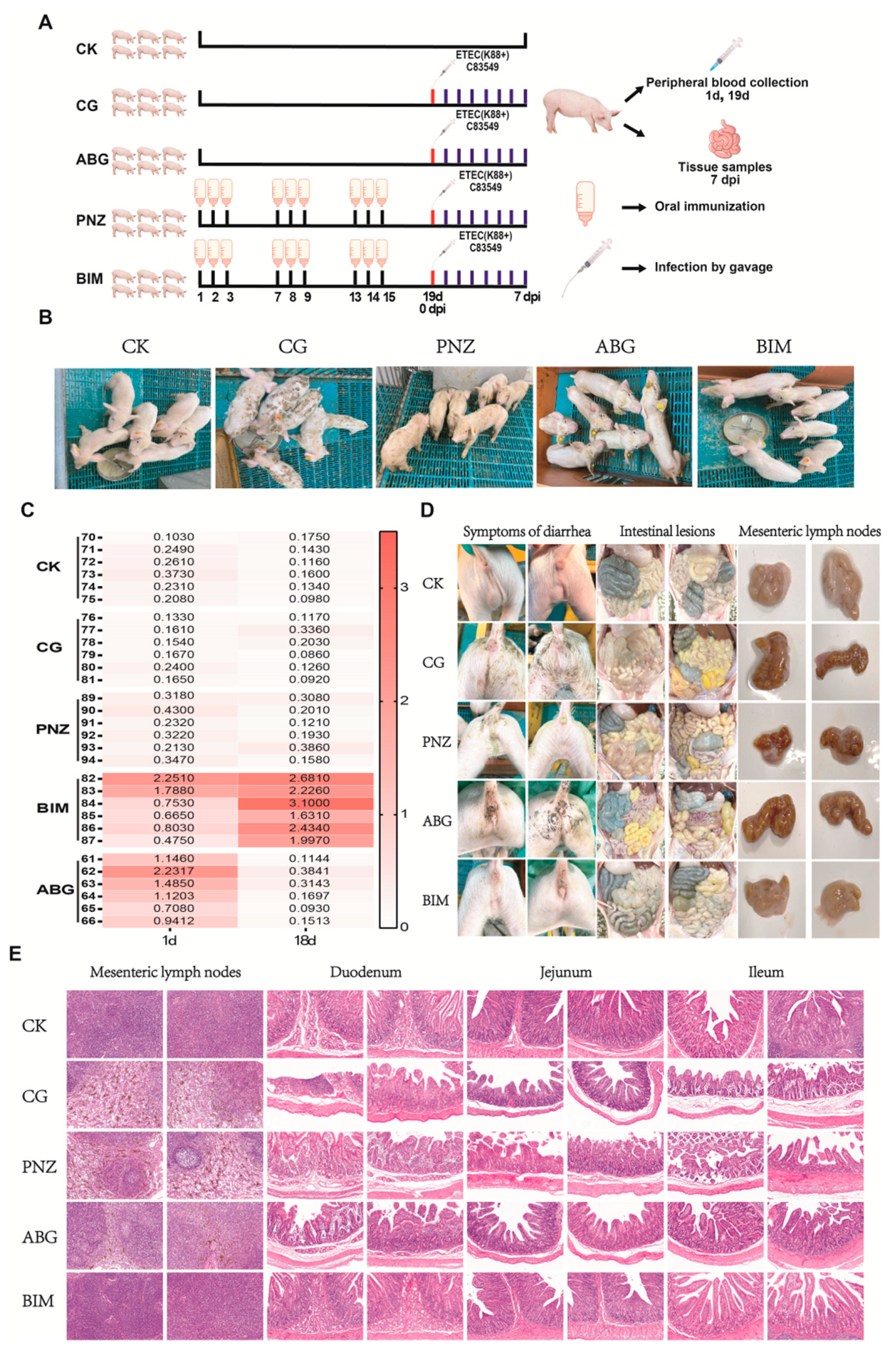 Vaccines 12 00304 g008 Vaccines 12 00304 g008
