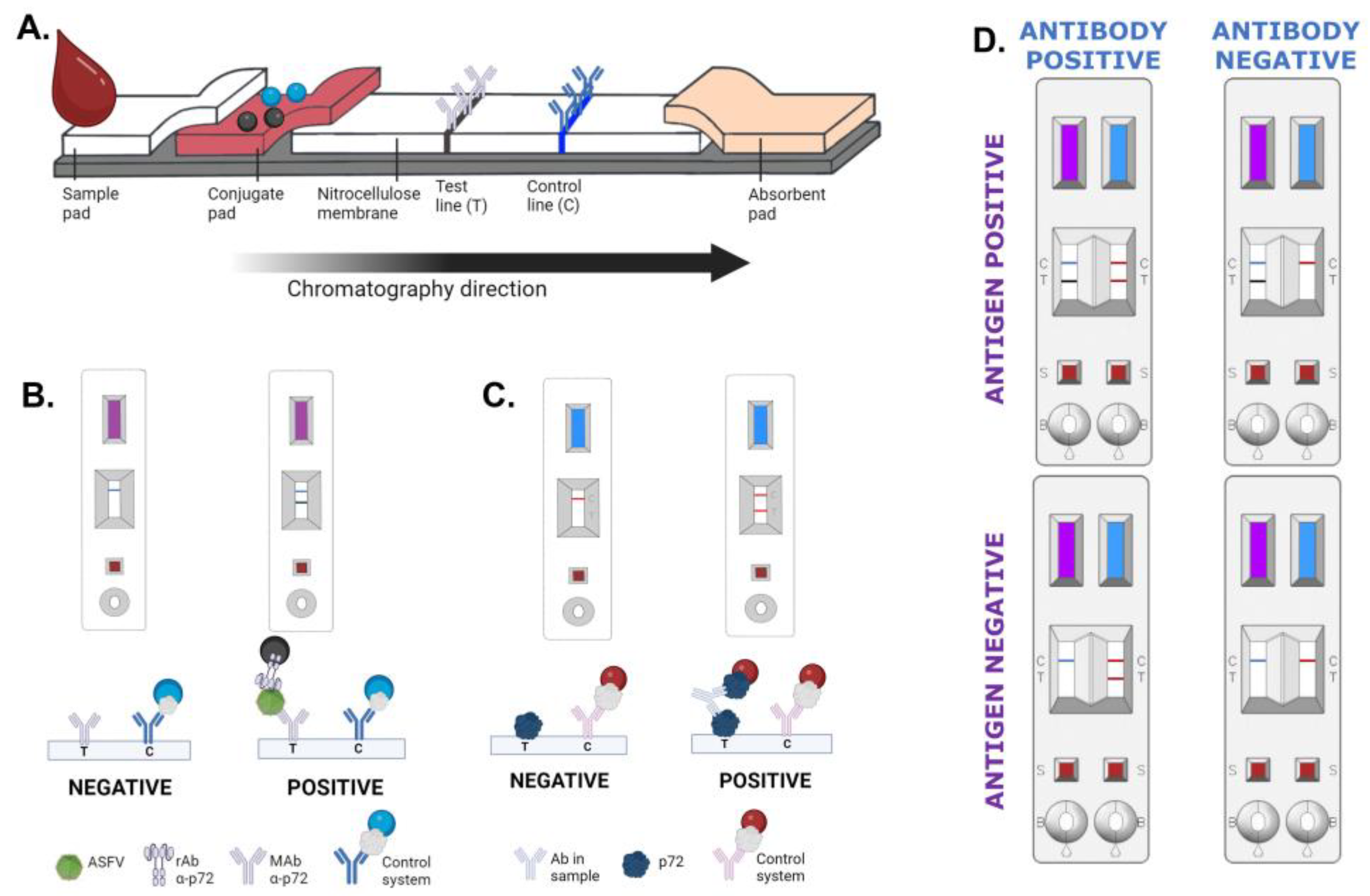 Vaccines 12 00307 g001