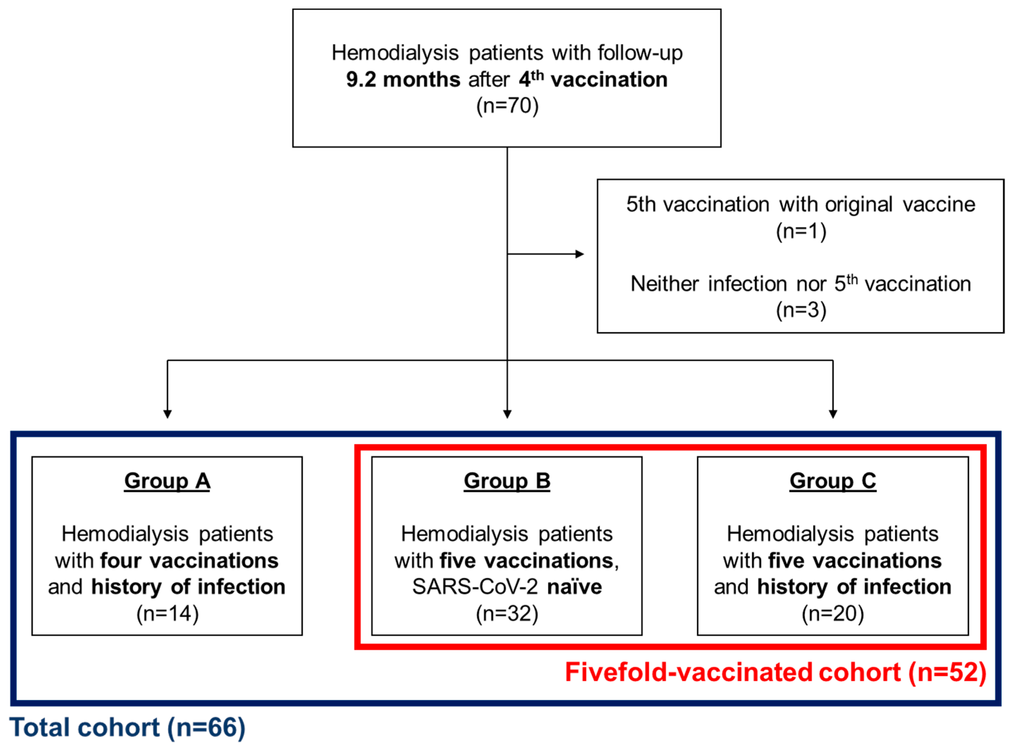 Vaccines 12 00308 g001