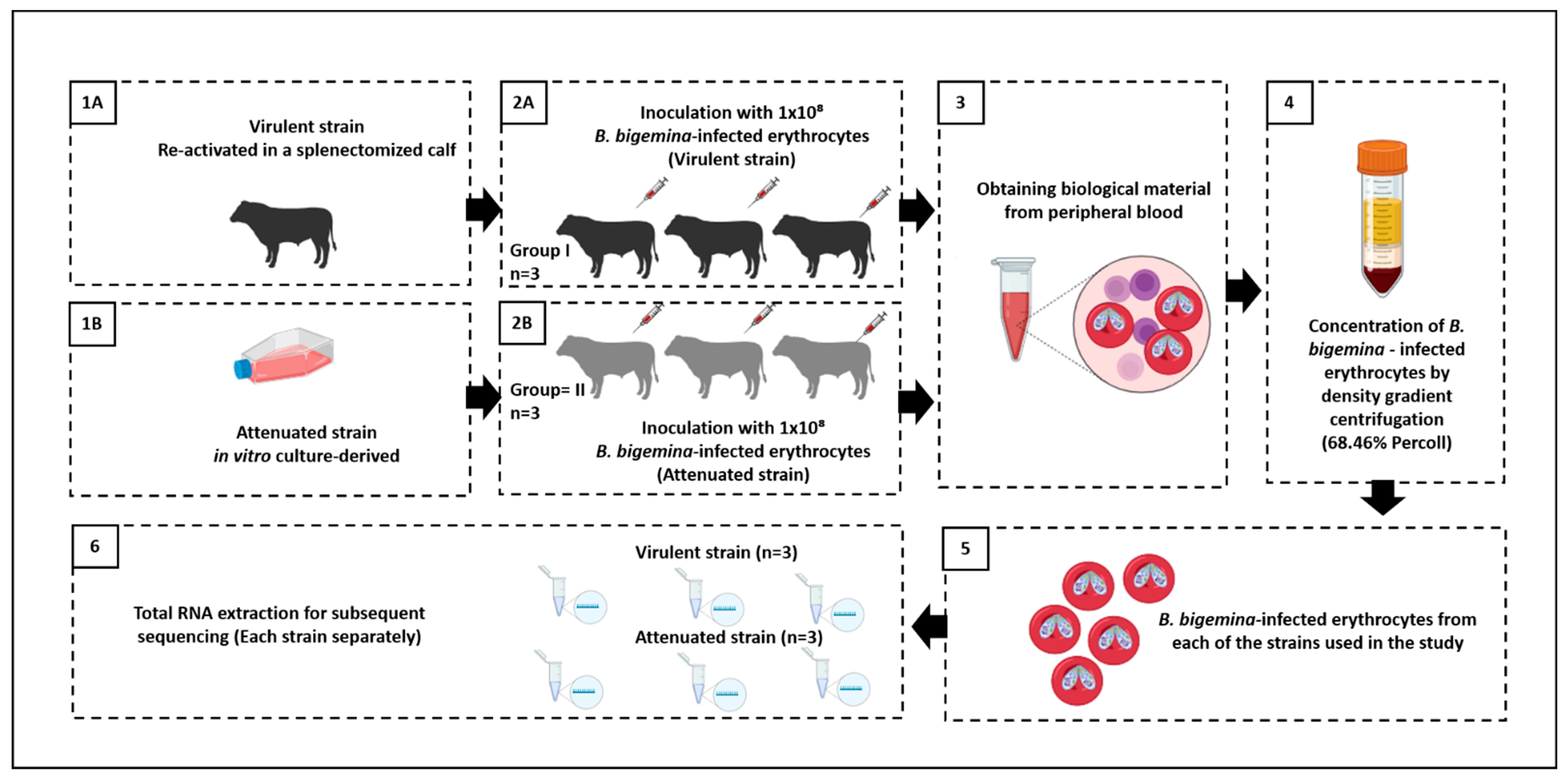 Vaccines 12 00309 g001