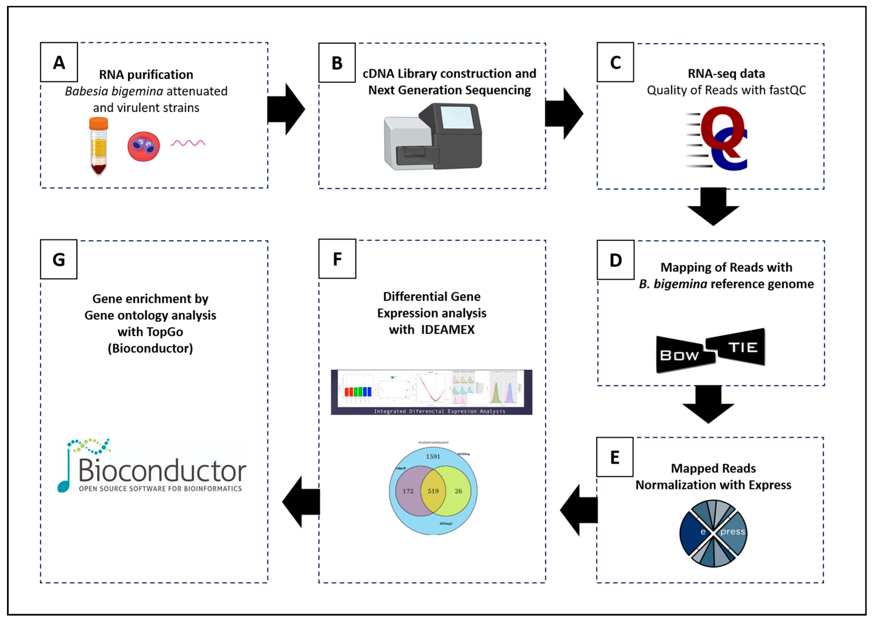 Vaccines 12 00309 g002