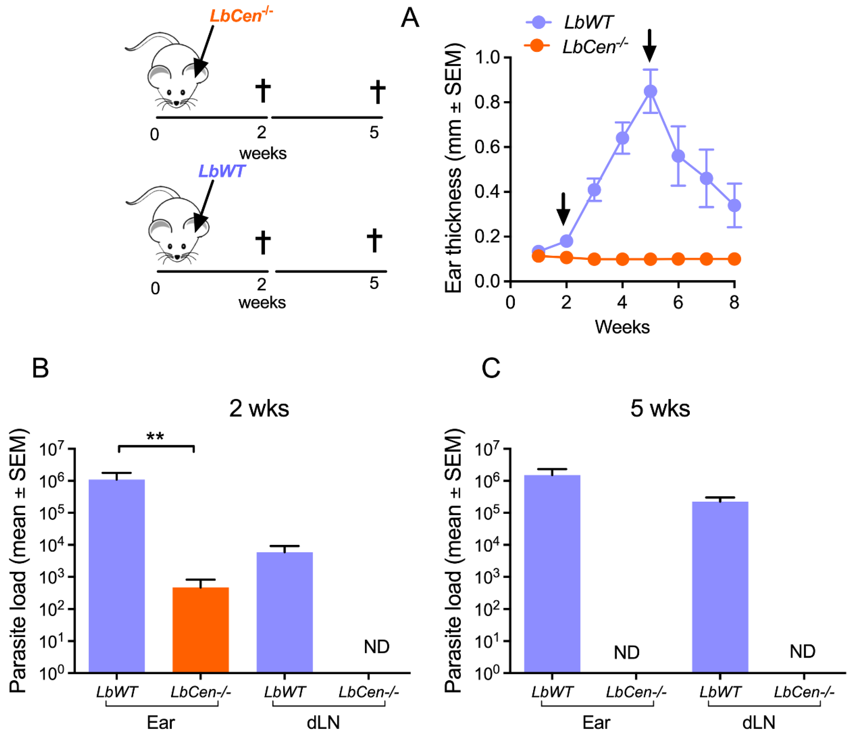 Vaccines 12 00310 g003
