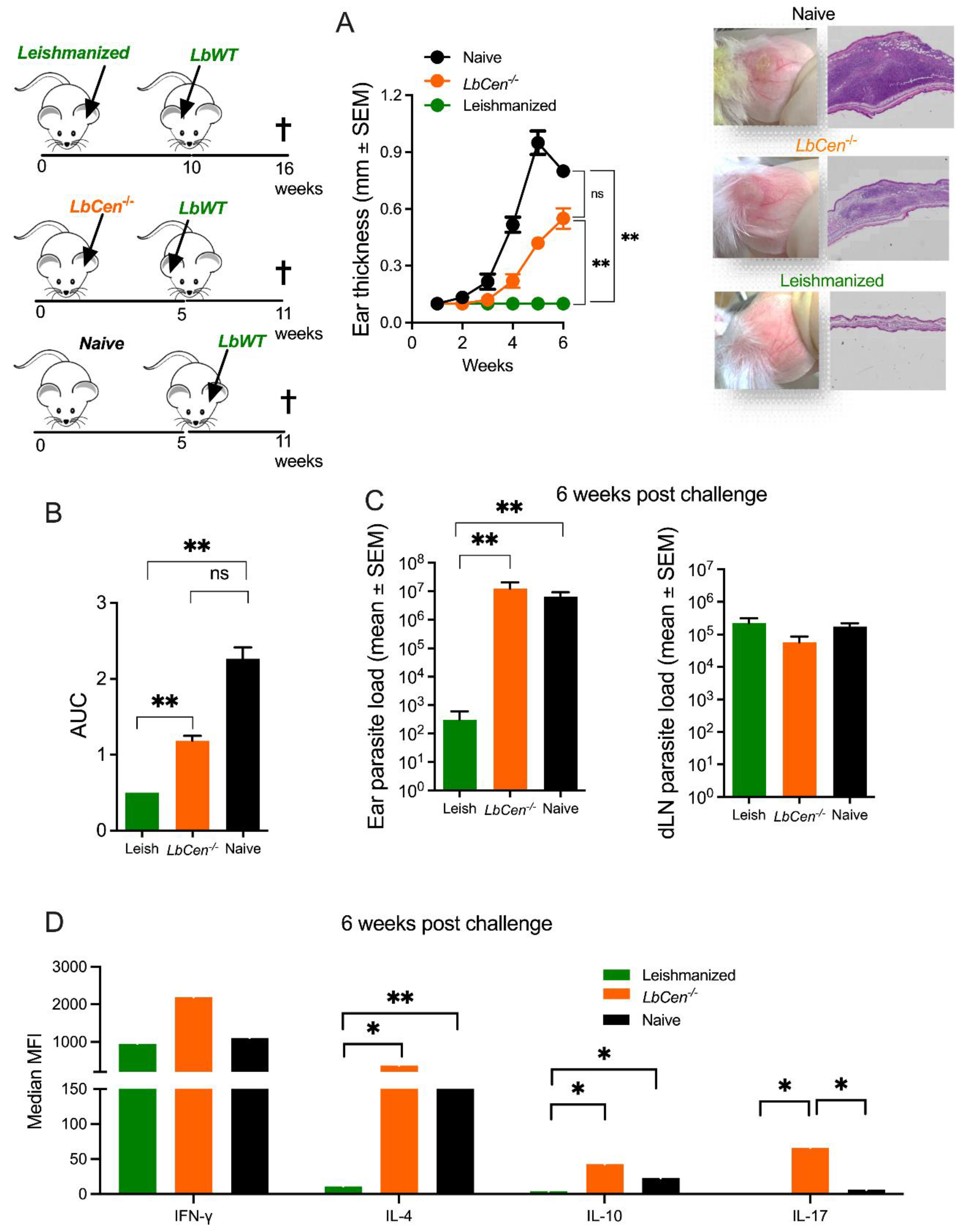Vaccines 12 00310 g006