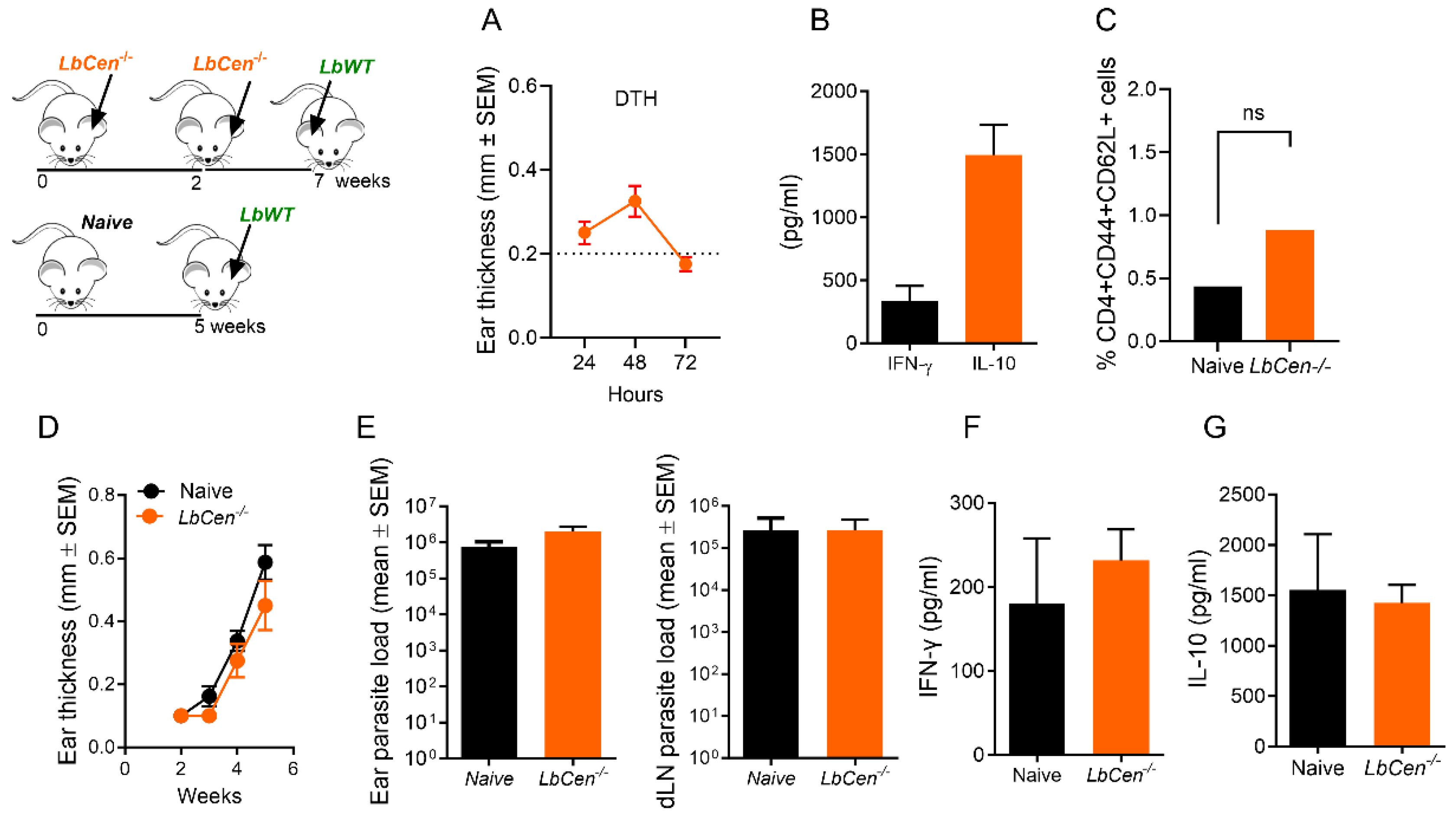 Vaccines 12 00310 g007
