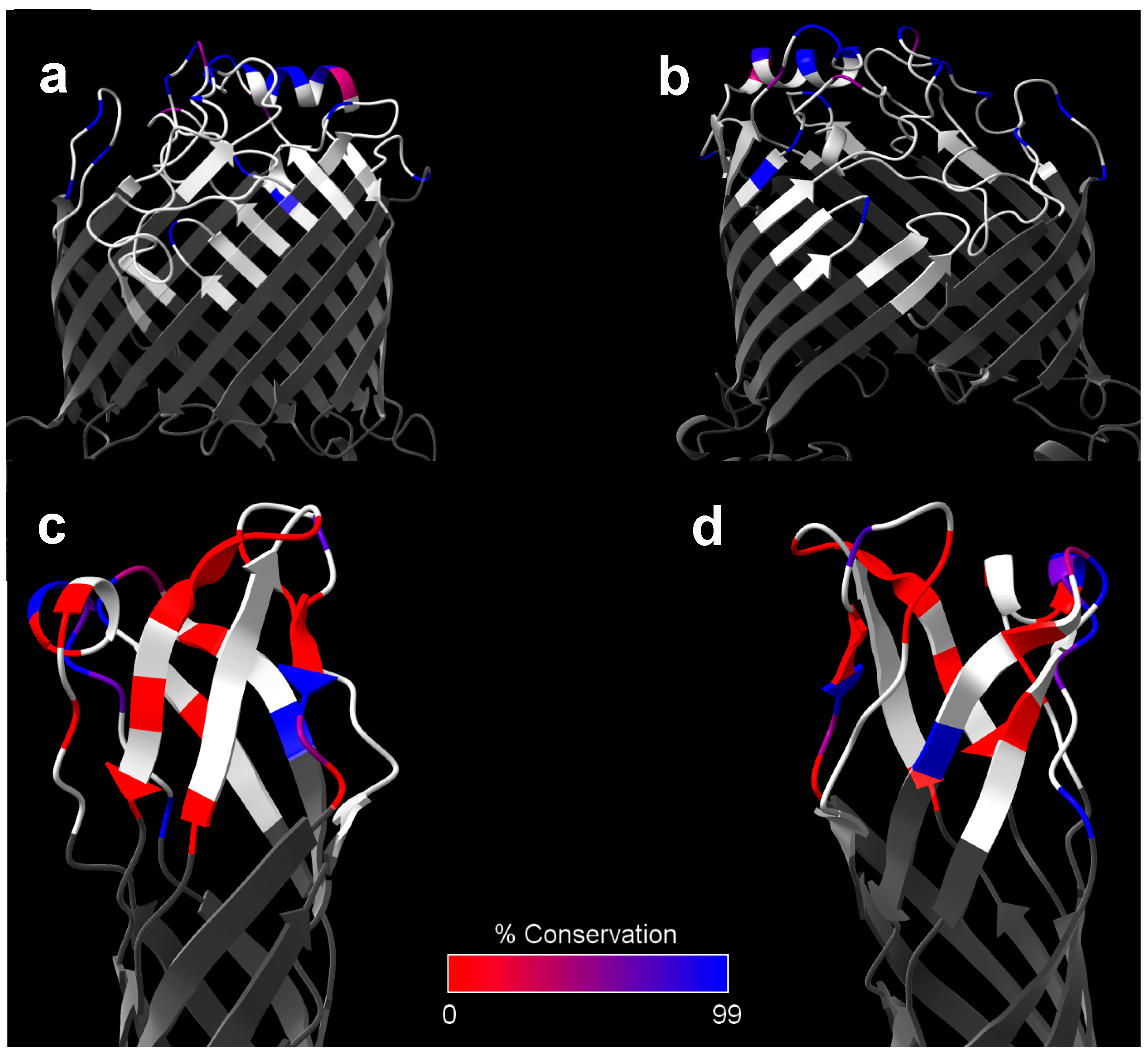 Vaccines 12 00313 g002