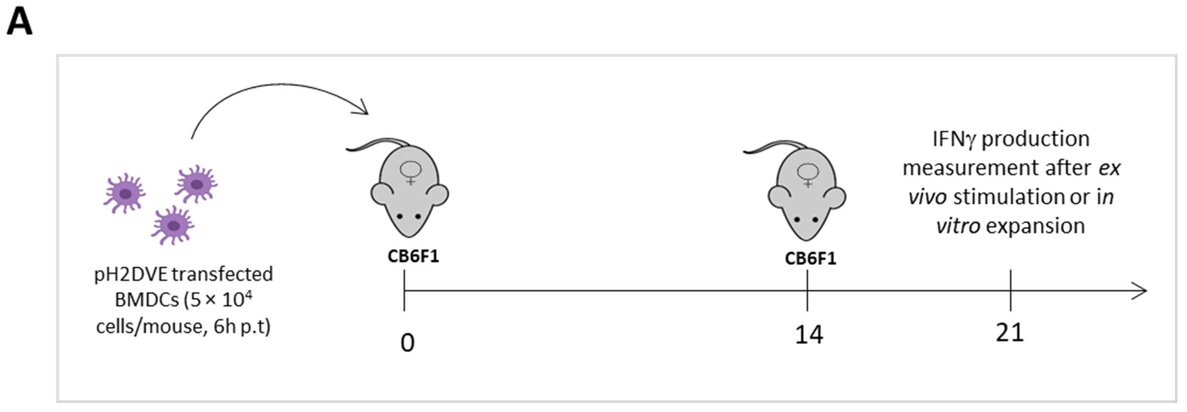 Vaccines 12 00316 g005a