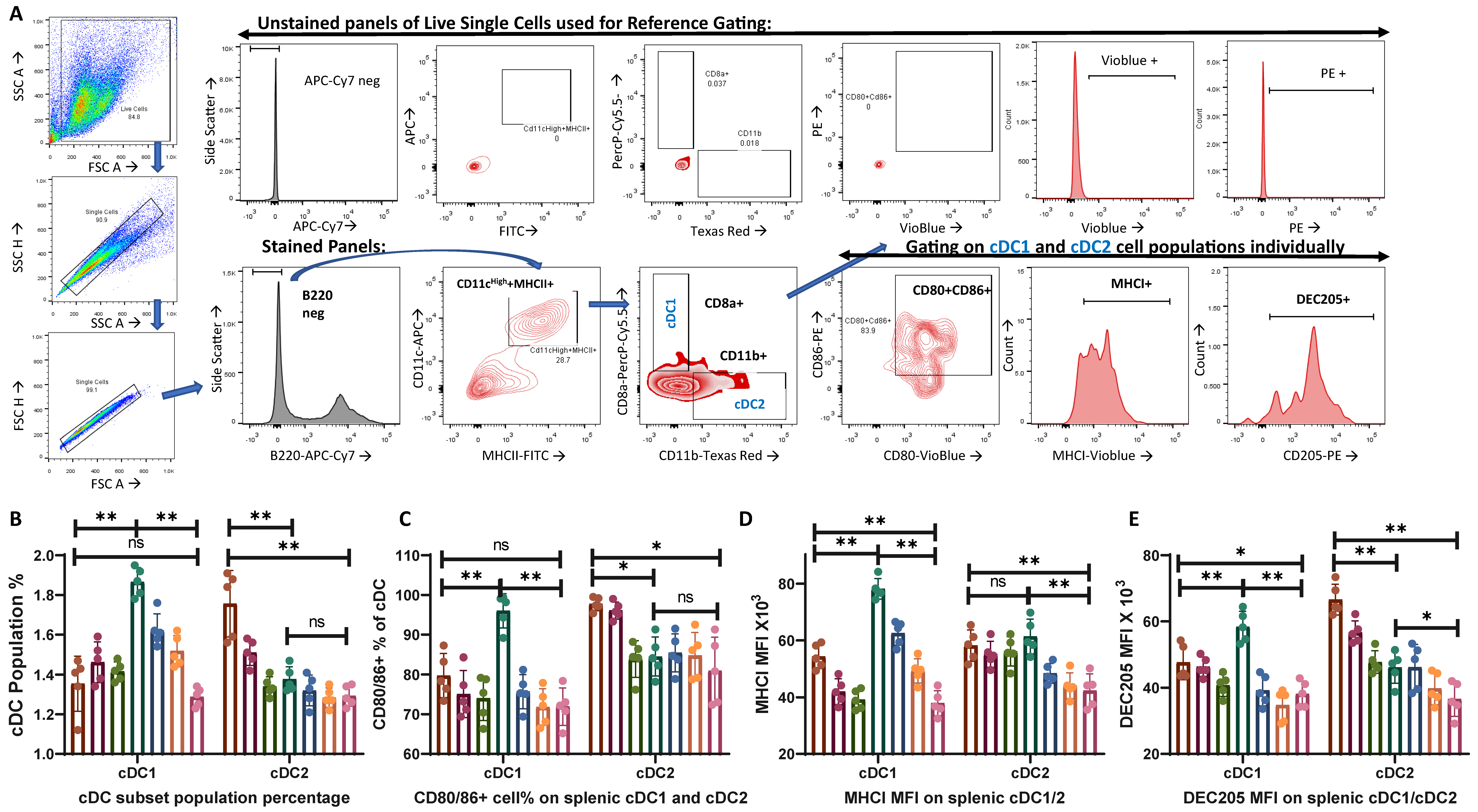 Vaccines 12 00320 g001