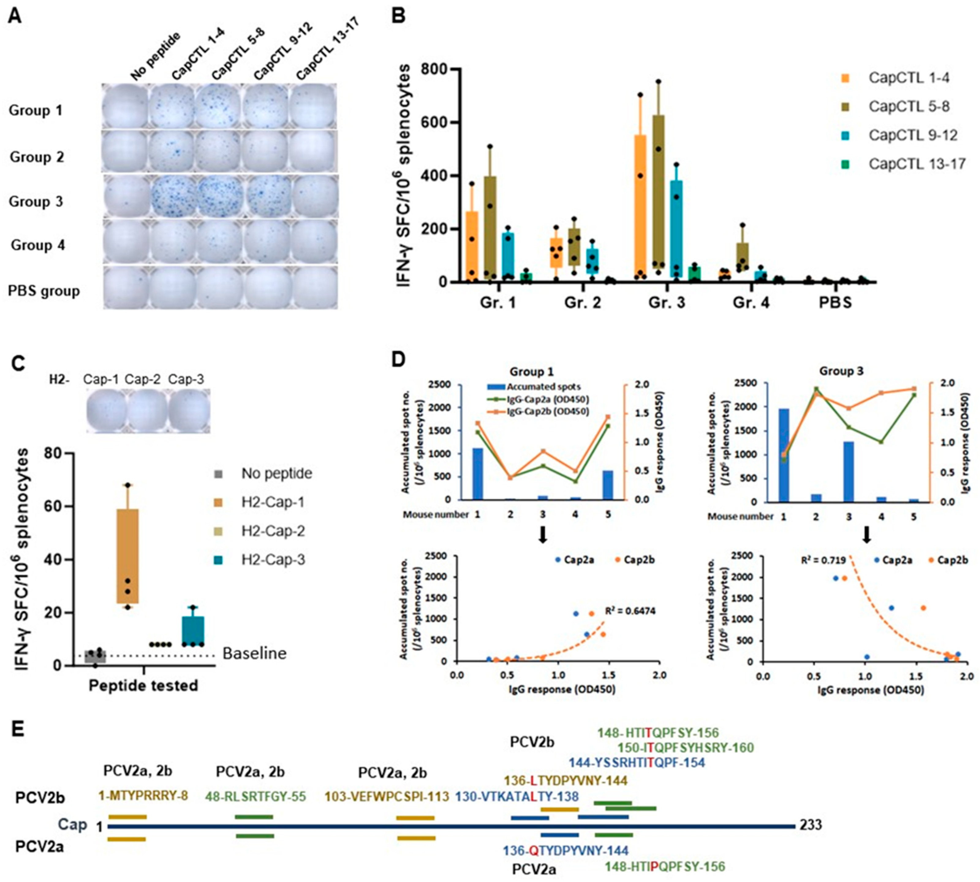 Vaccines 12 00324 g008 Vaccines 12 00324 g008