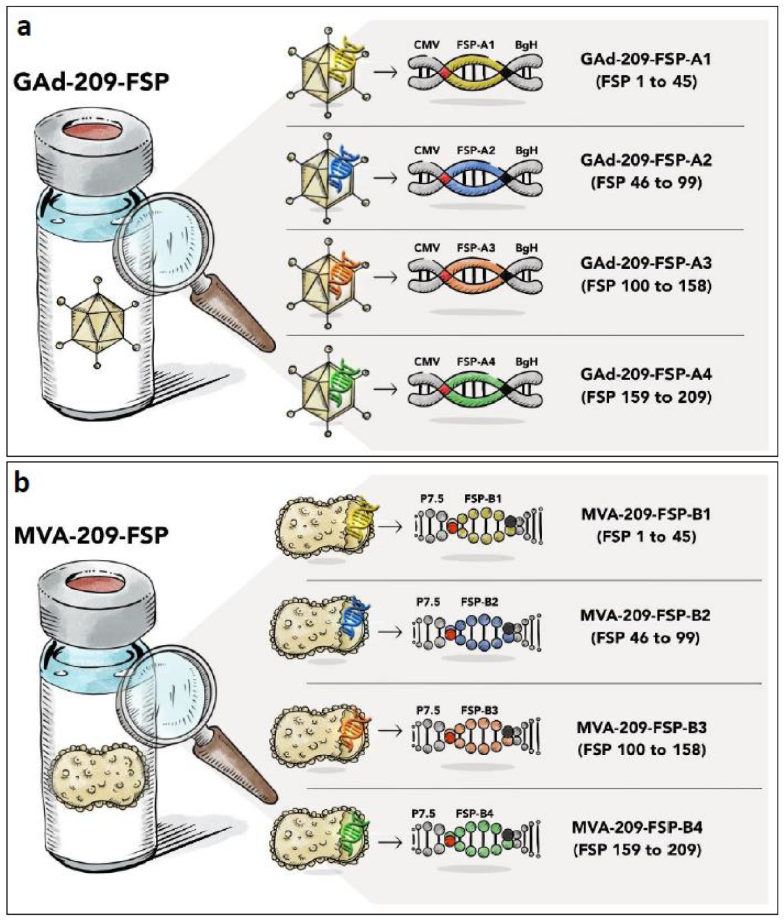 Vaccines 12 00325 g001