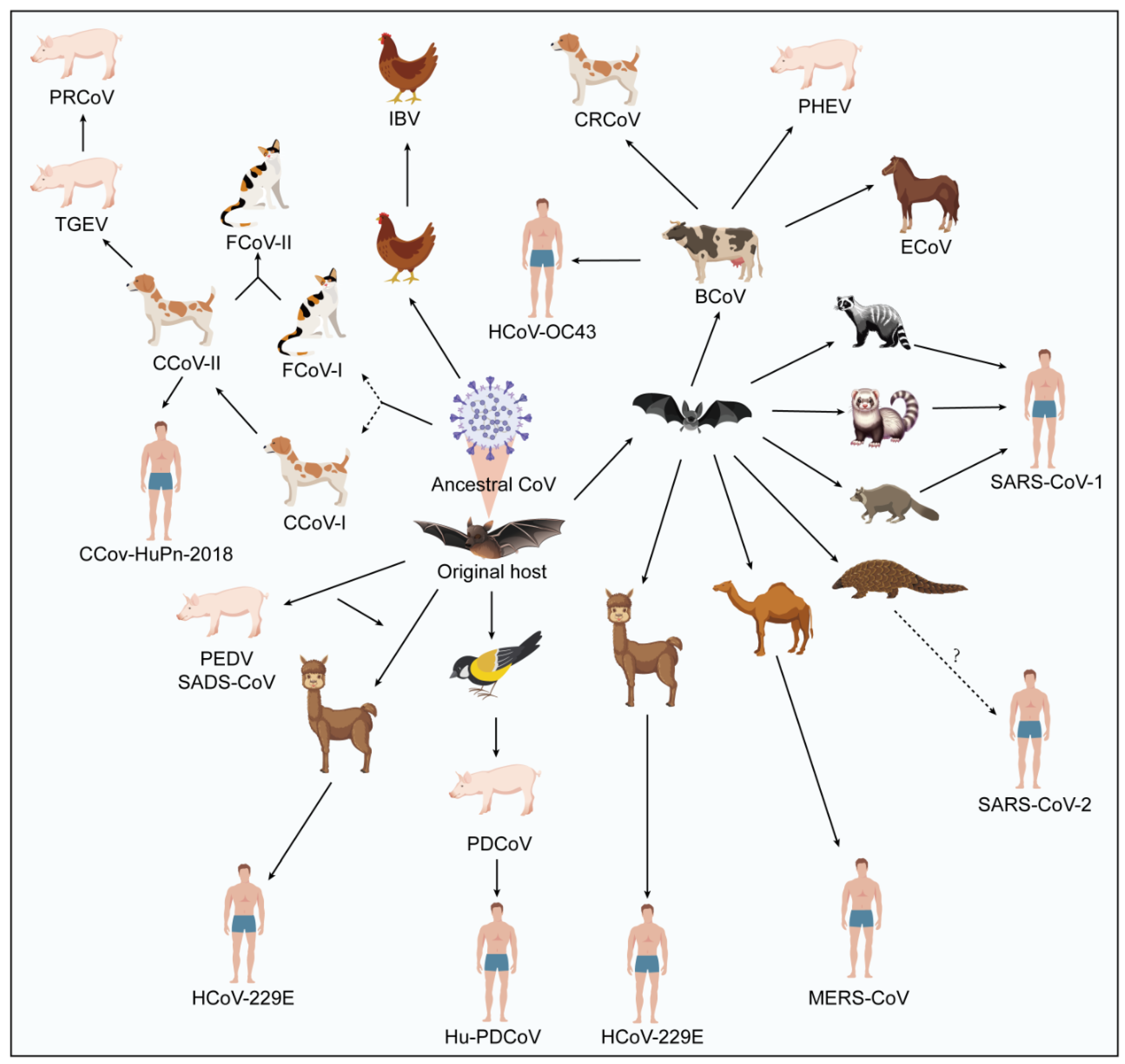 Vaccines 12 00330 g001 Vaccines 12 00330 g001