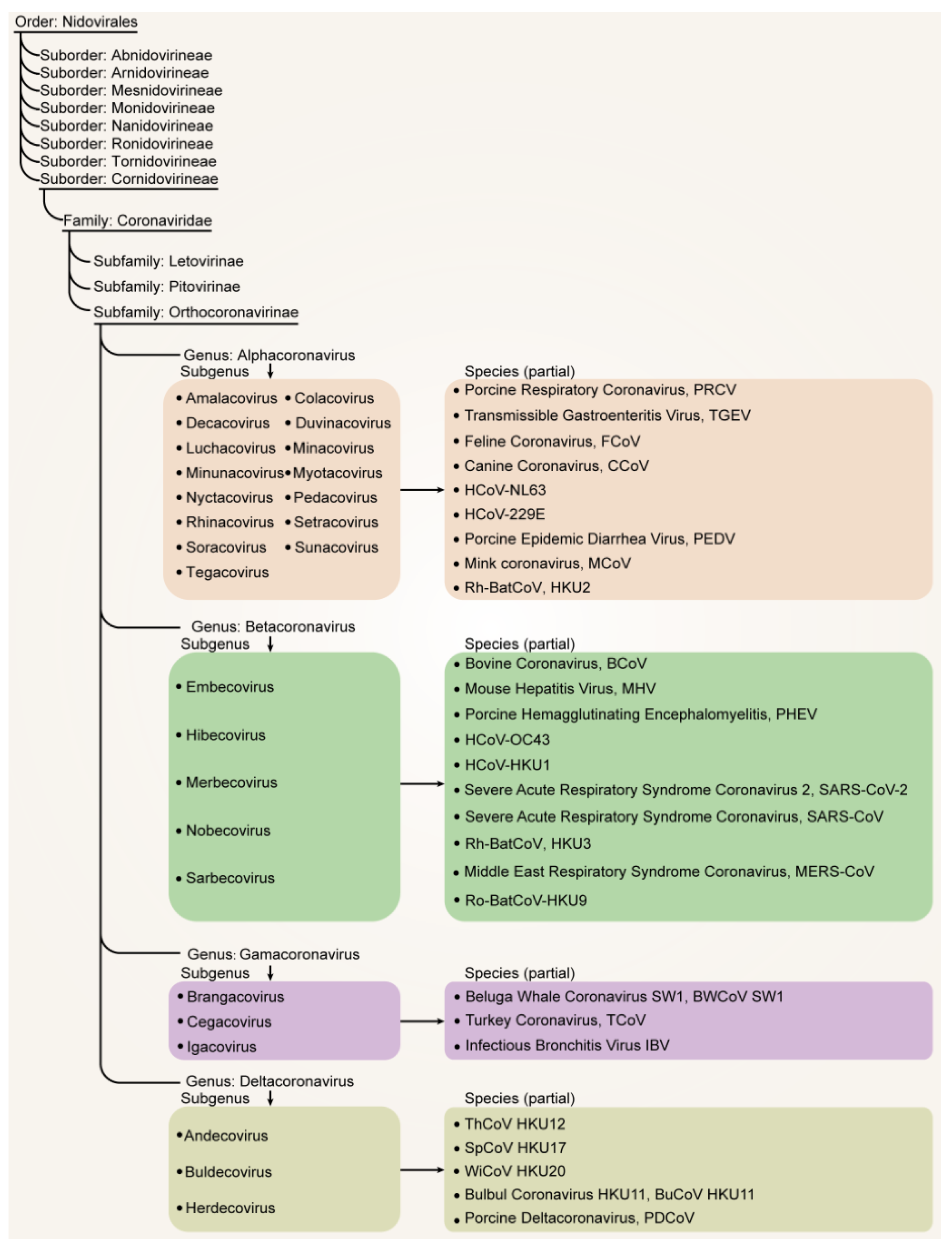 Vaccines 12 00330 g002 Vaccines 12 00330 g002