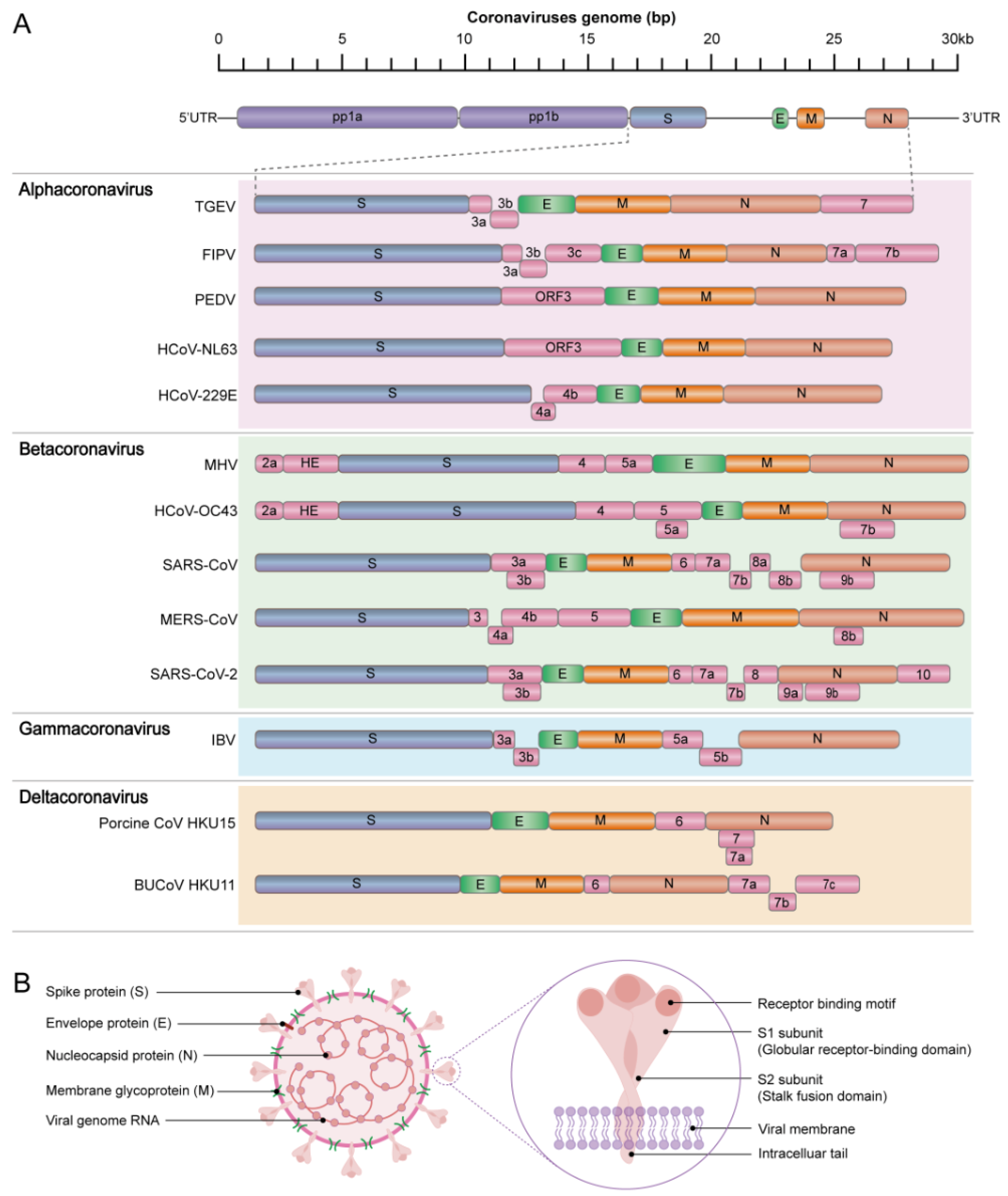 Vaccines 12 00330 g003 Vaccines 12 00330 g003