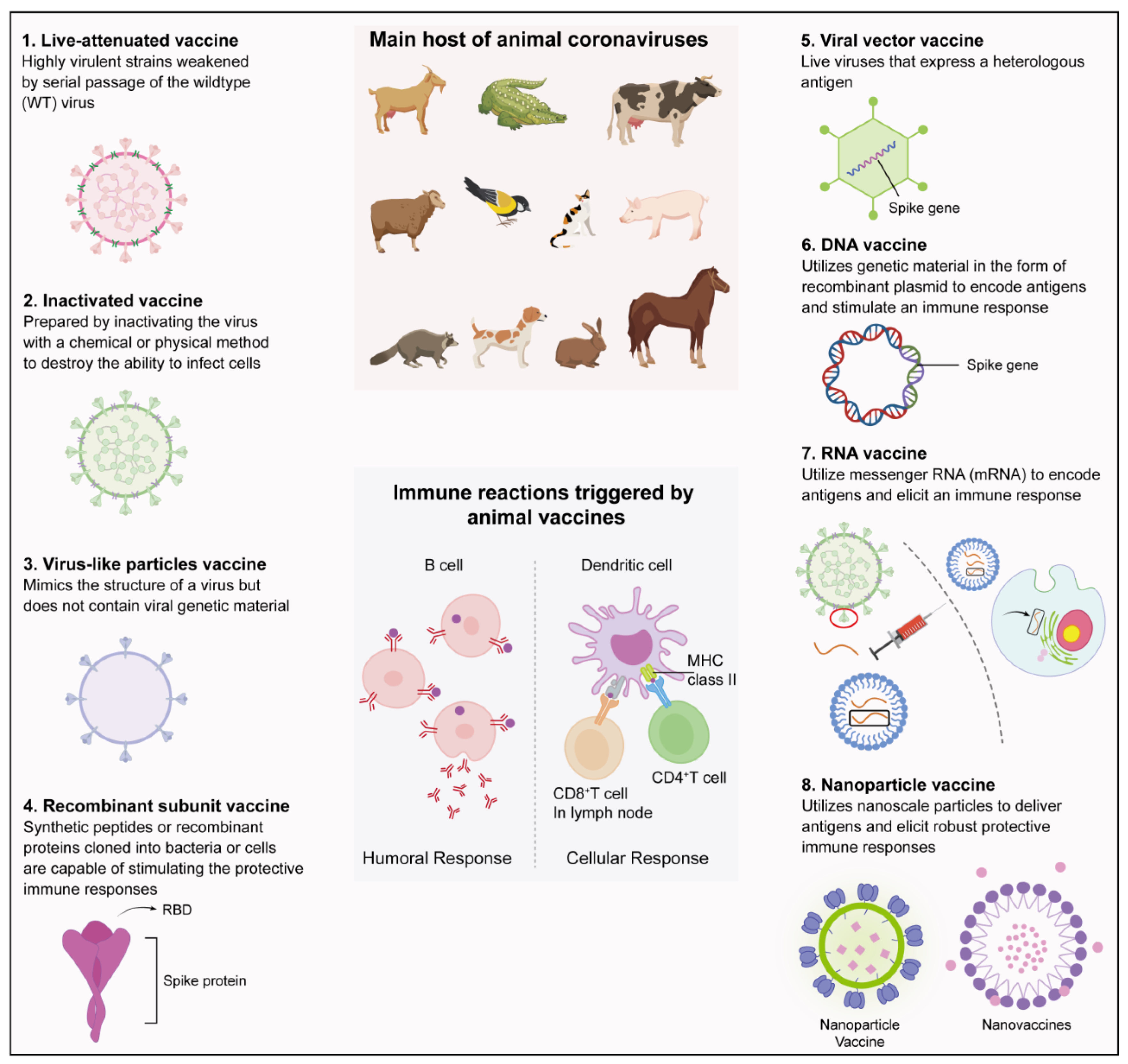 Vaccines 12 00330 g004 Vaccines 12 00330 g004