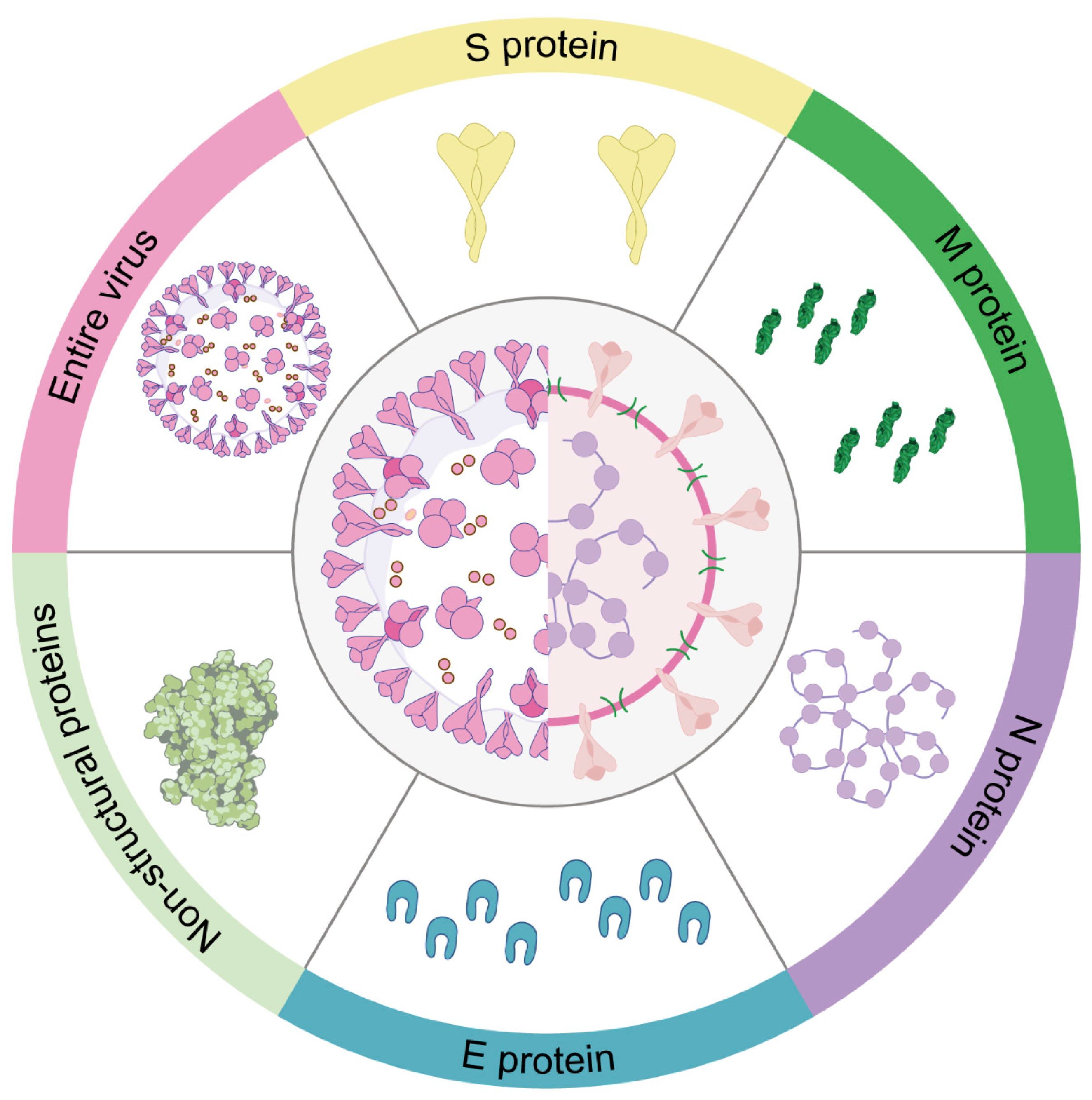 Vaccines 12 00330 g005 Vaccines 12 00330 g005