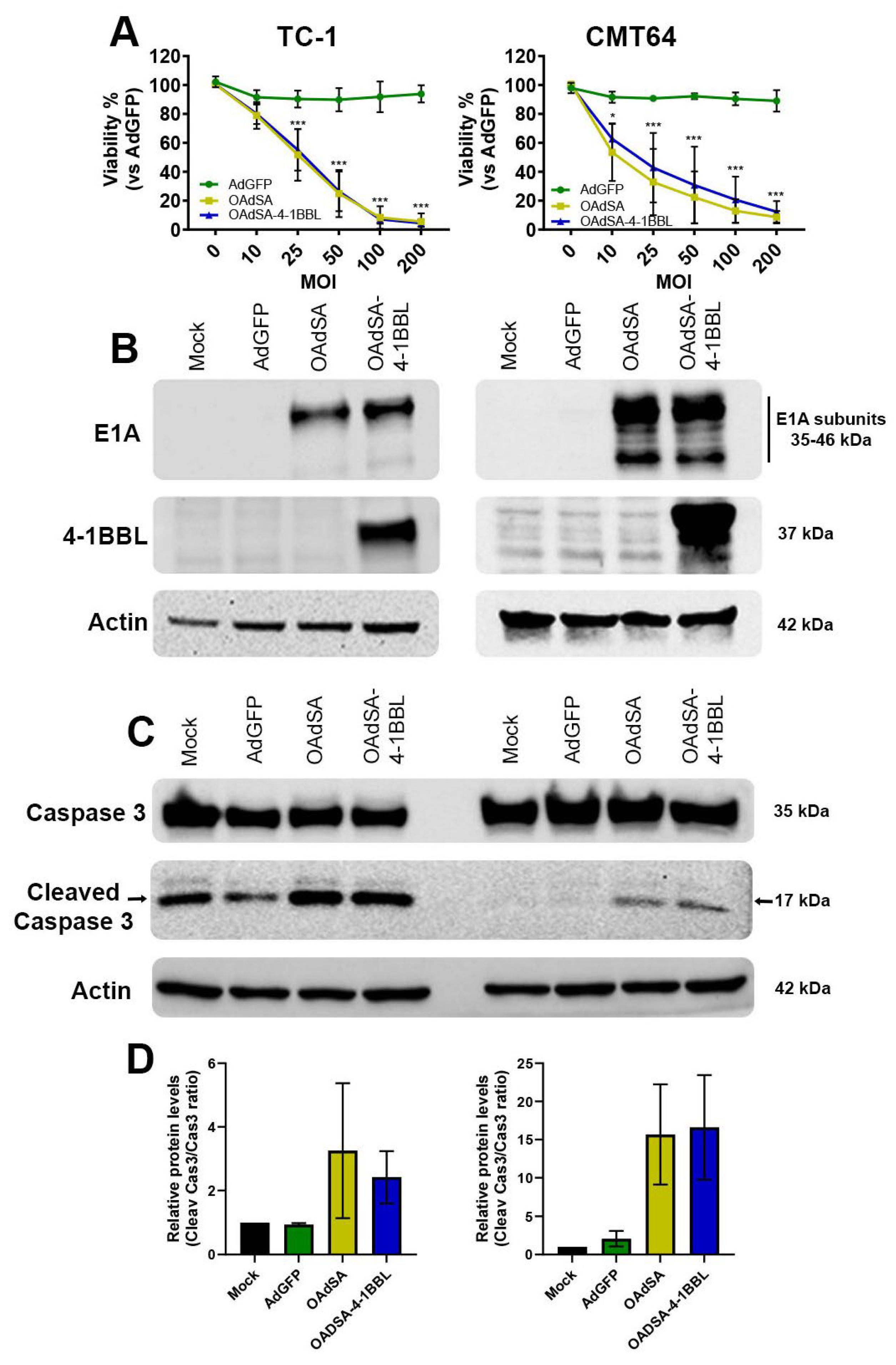 Vaccines 12 00340 g003