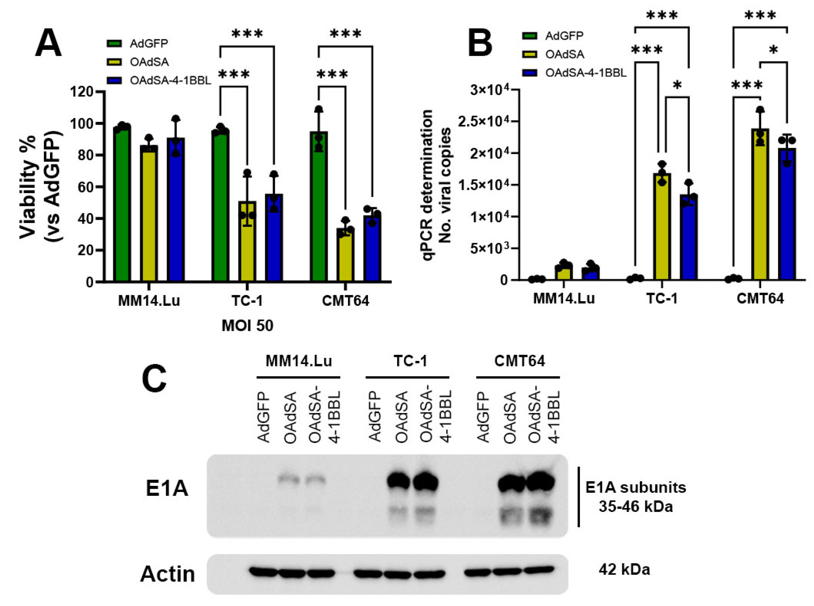 Vaccines 12 00340 g005