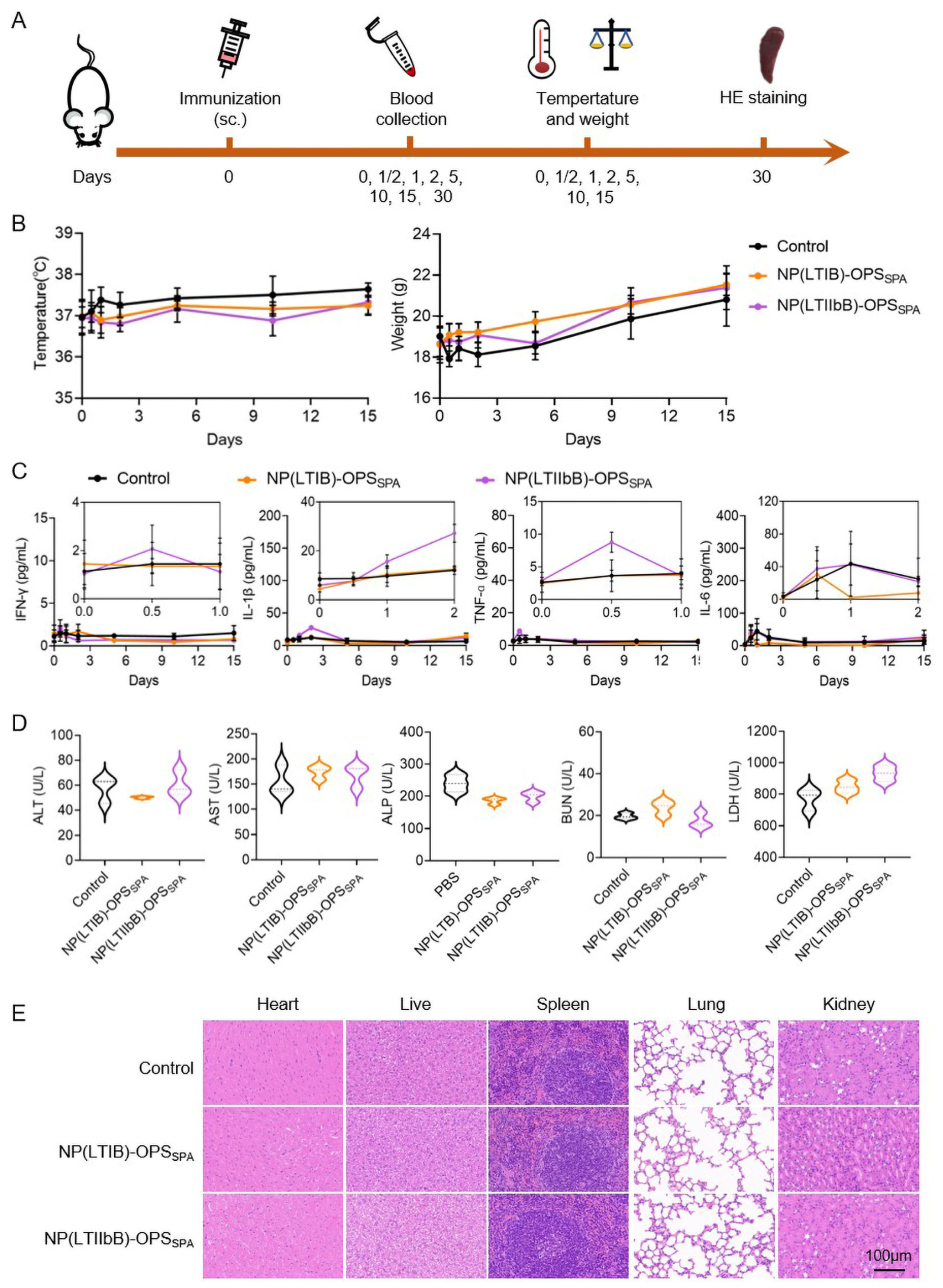 Vaccines 12 00347 g003