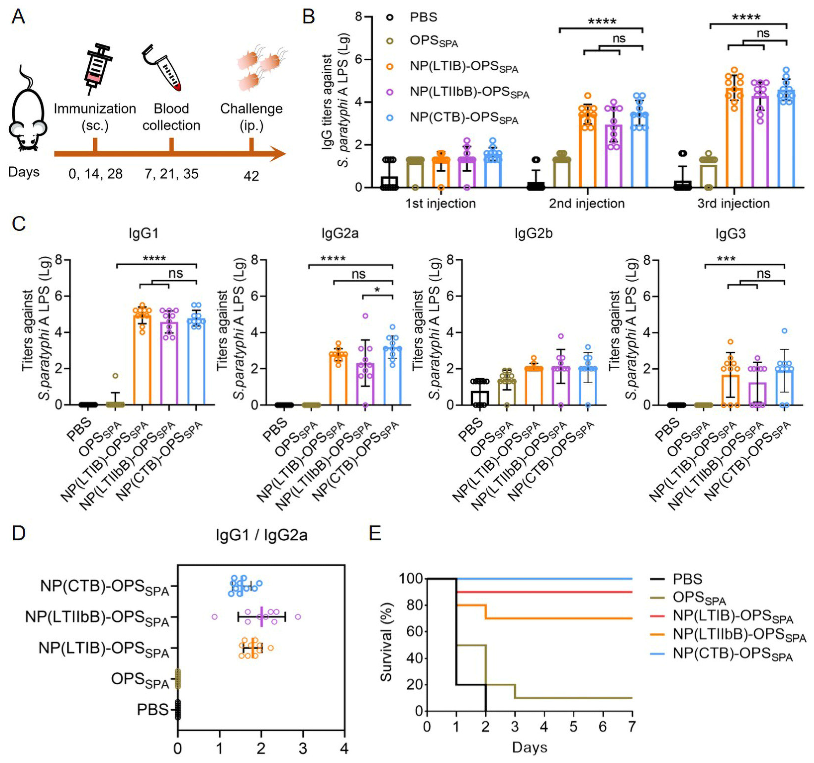 Vaccines 12 00347 g004