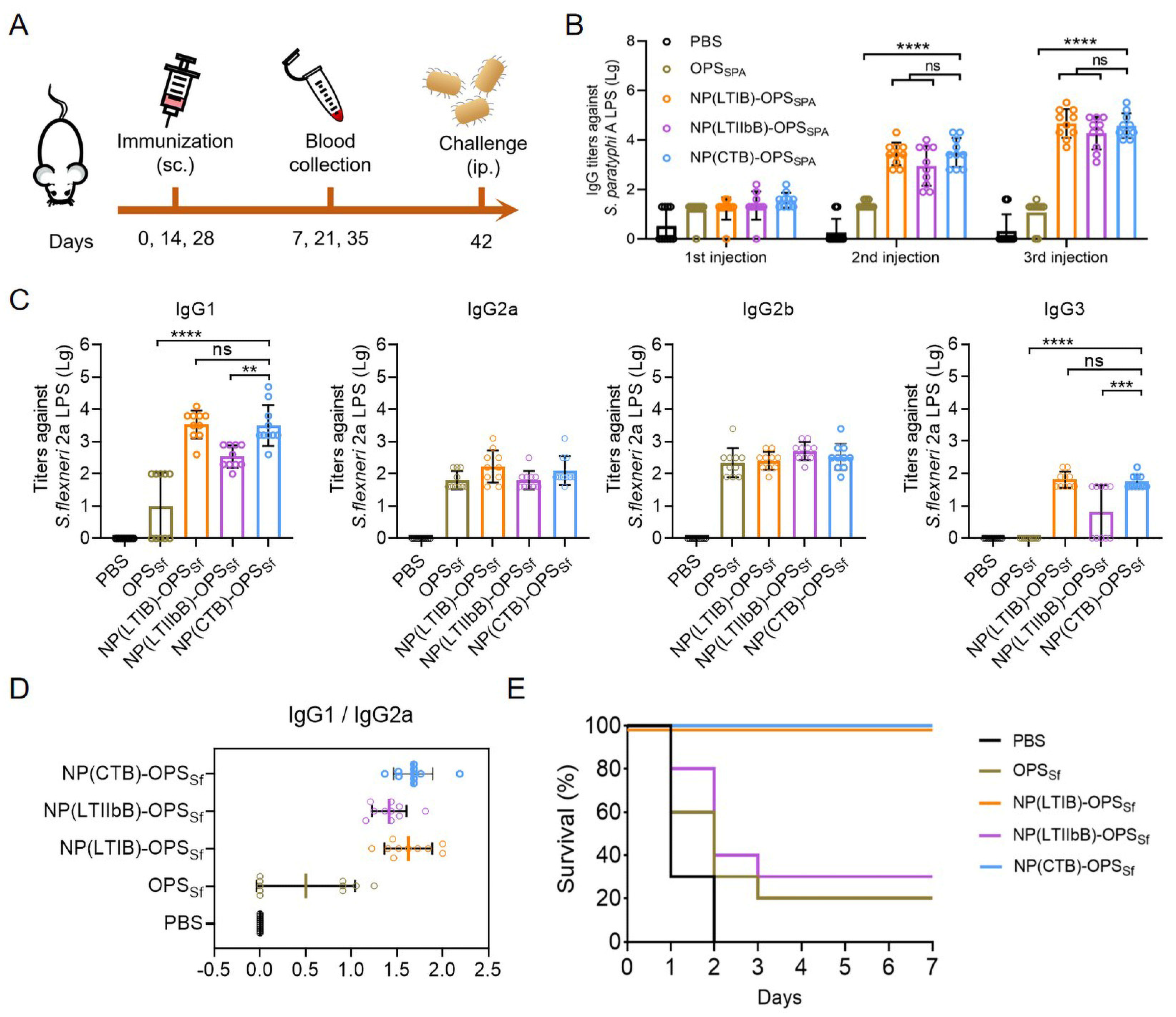 Vaccines 12 00347 g007